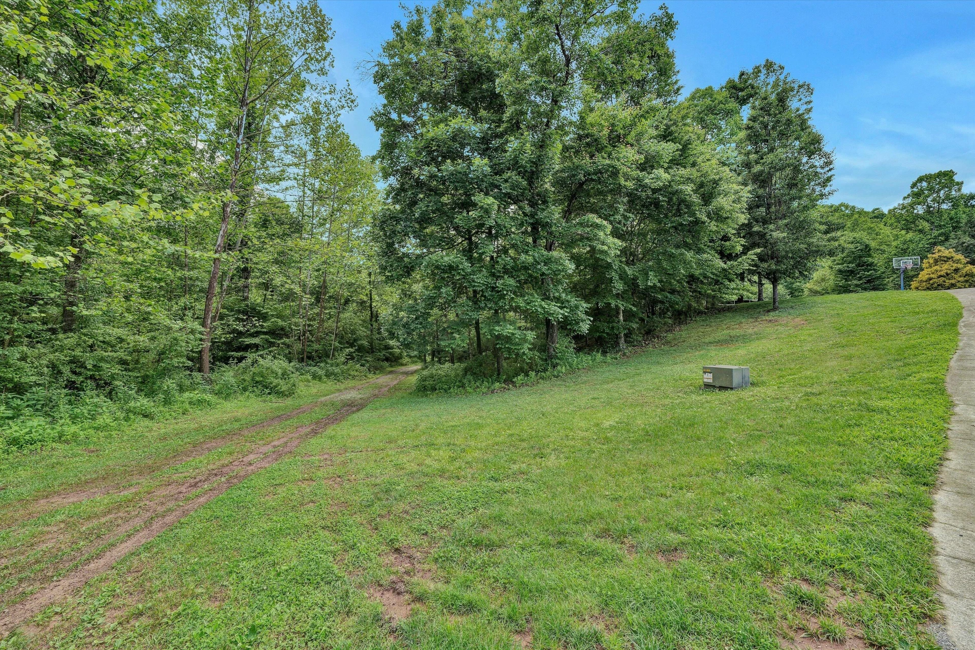 1955 Poplar View RD - Photo 49