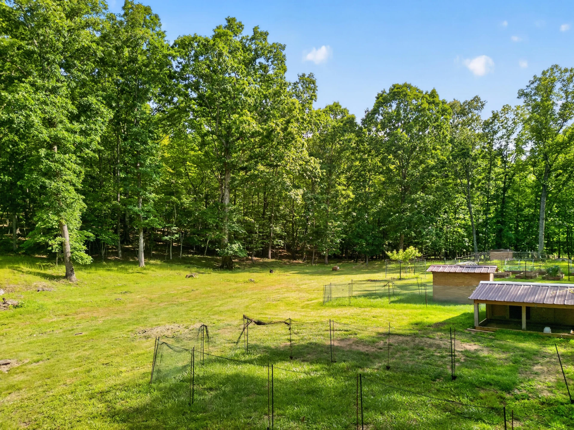 1086 Bugg Hollow LN - Photo 13