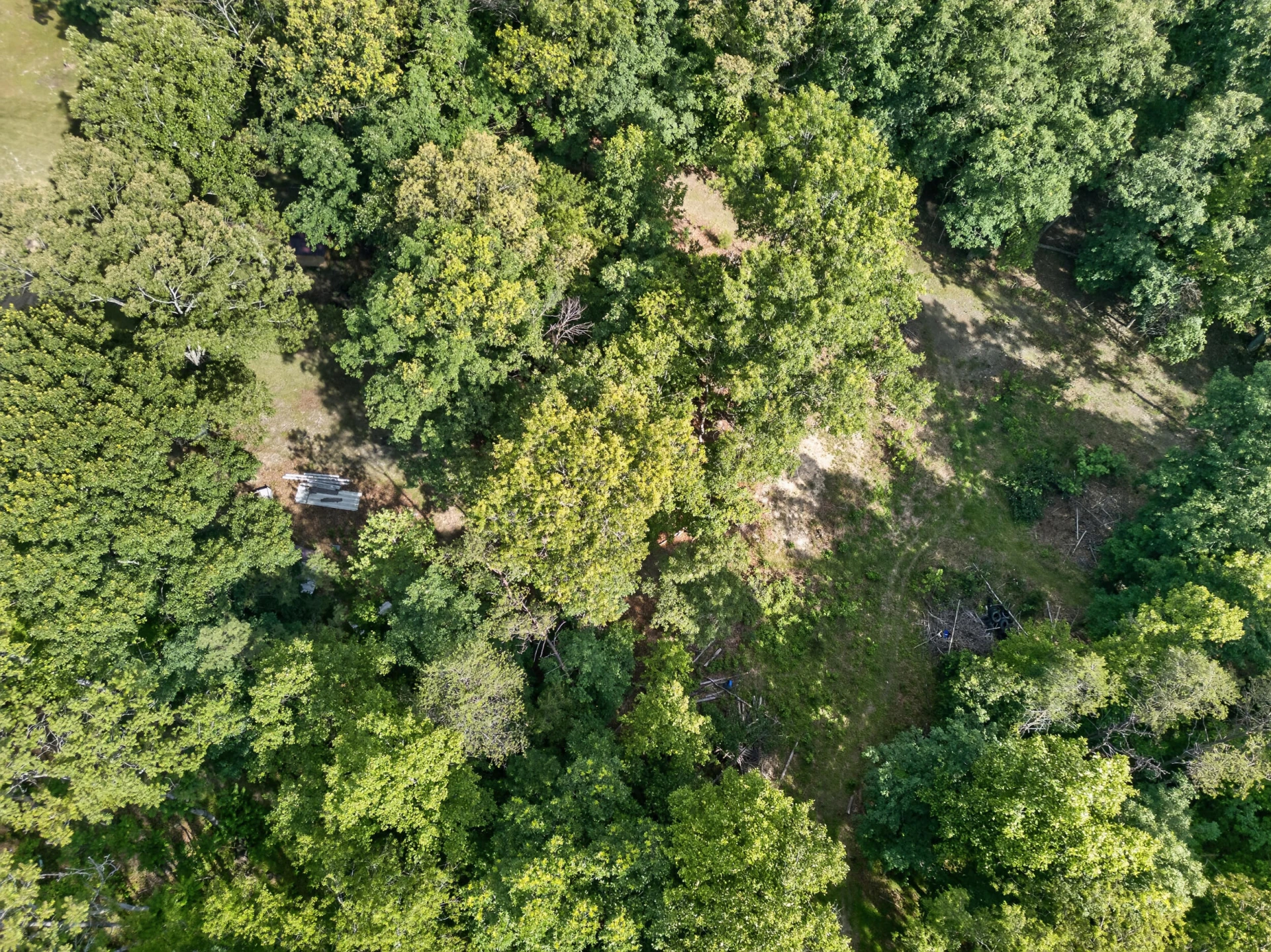 1086 Bugg Hollow LN - Photo 23