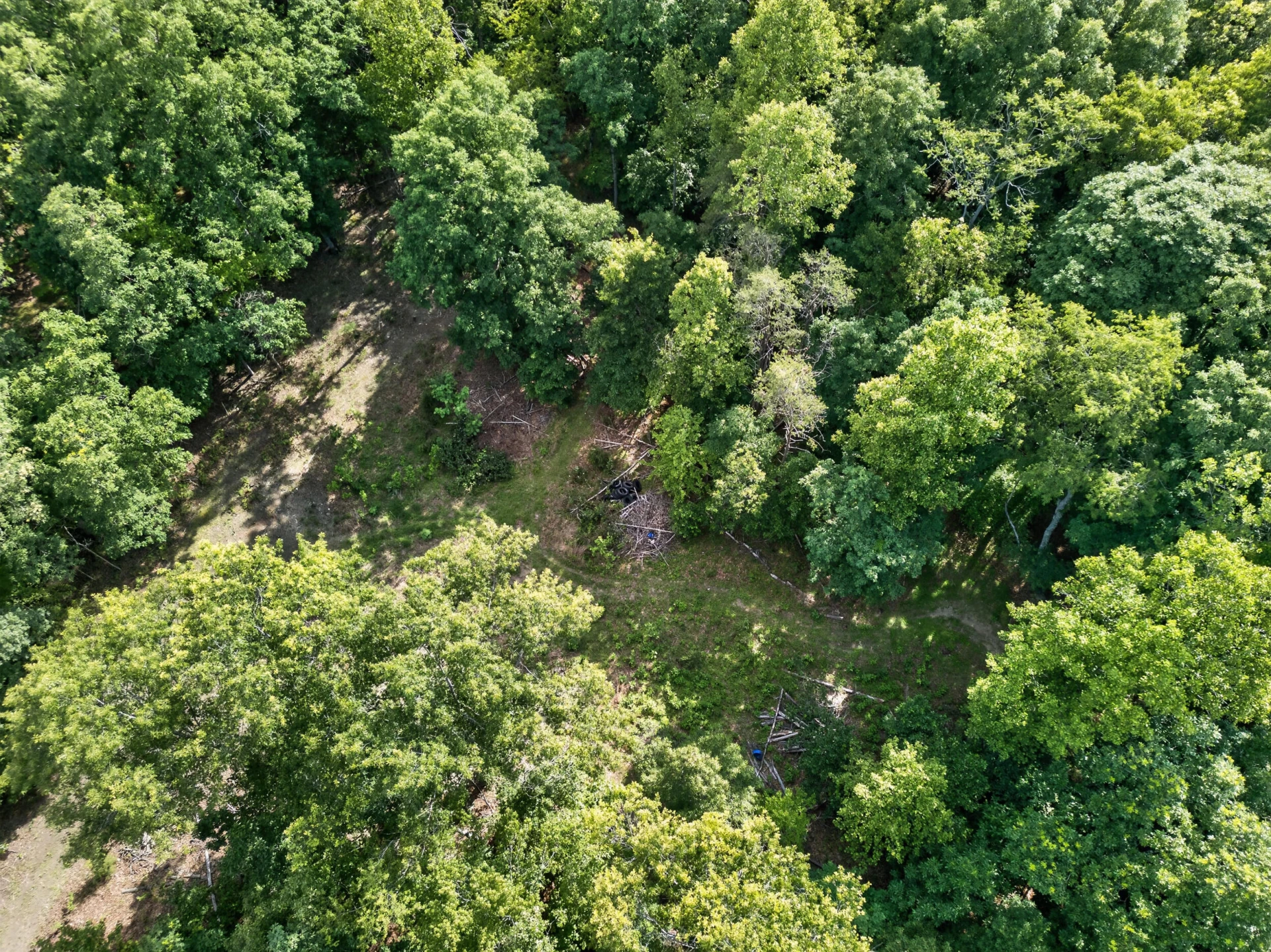 1086 Bugg Hollow LN - Photo 24