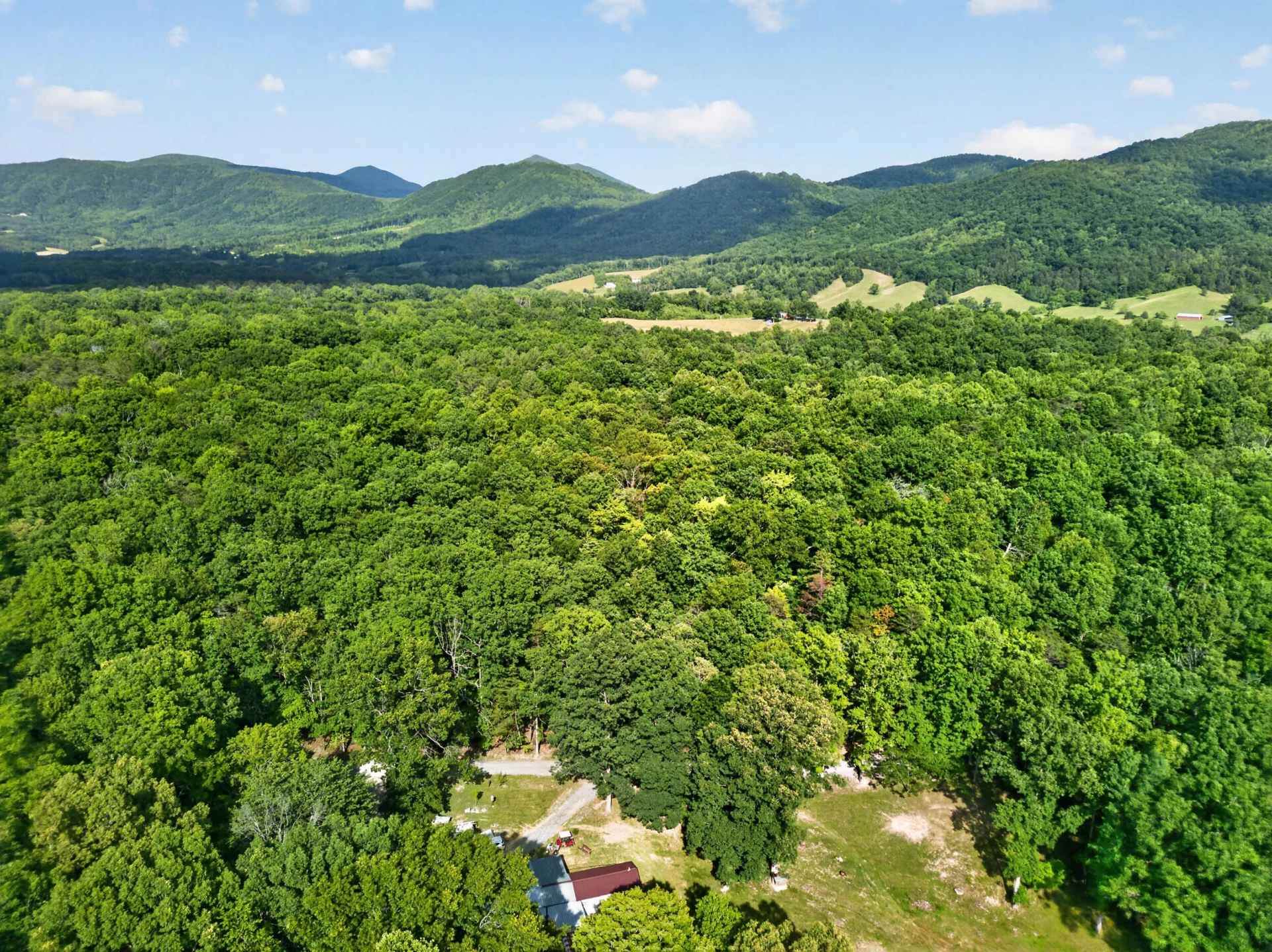 1086 Bugg Hollow LN - Photo 36