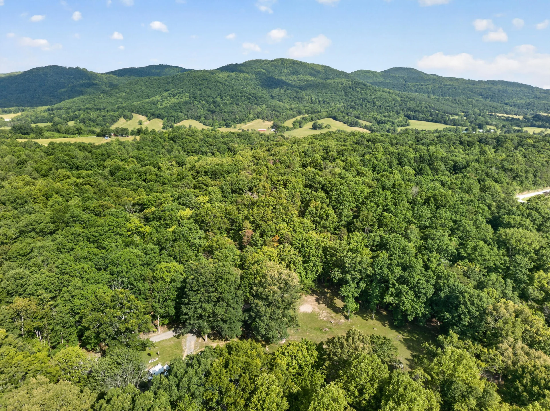 1086 Bugg Hollow LN - Photo 37