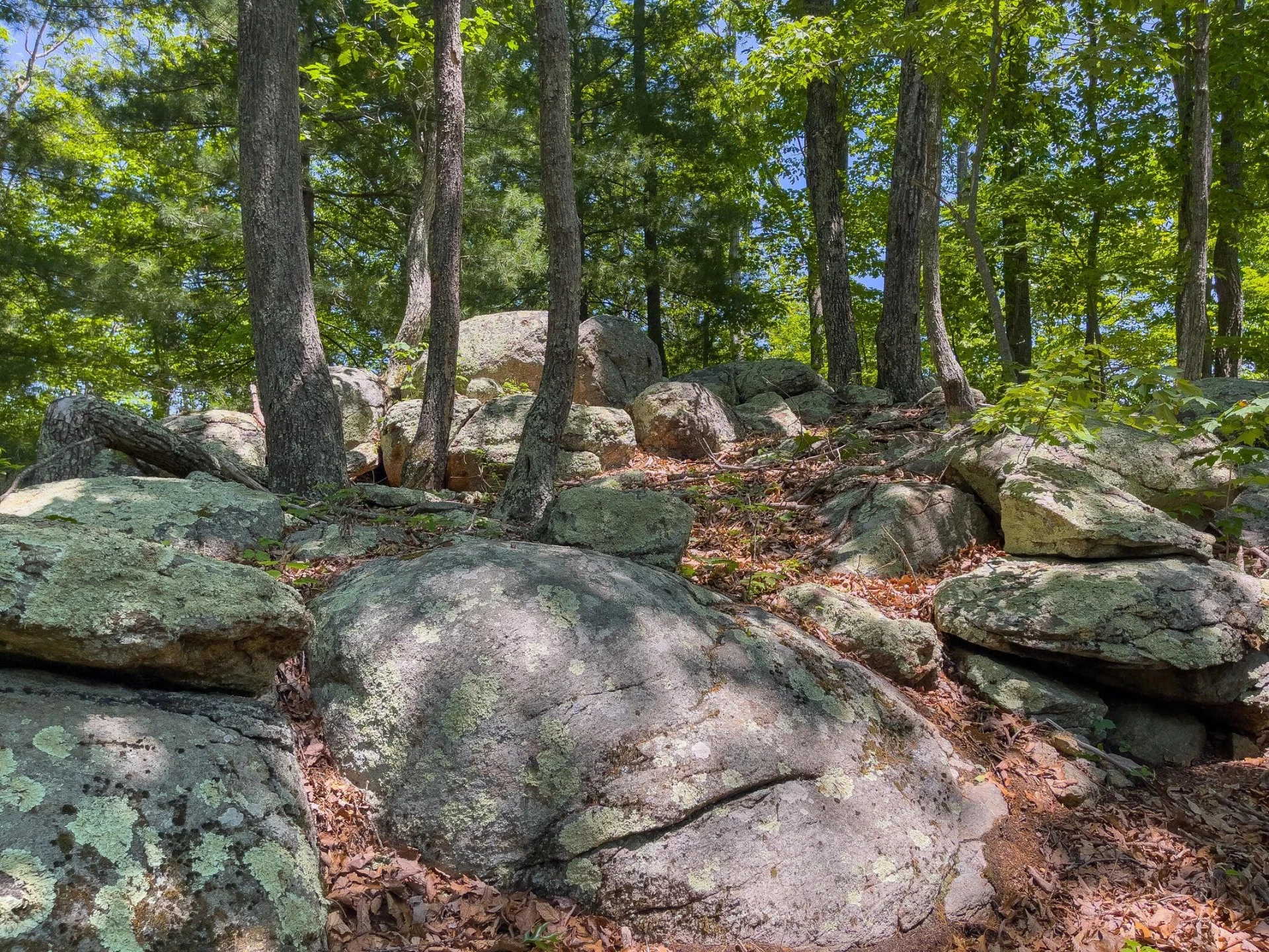 151 Stoneybrook RD - Photo 93