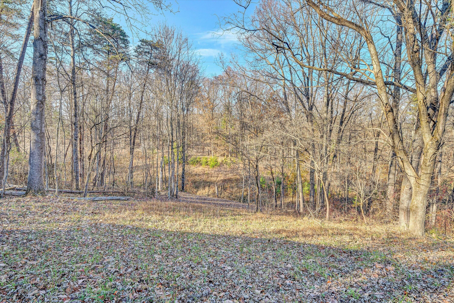 2608 Loch Haven DR - Photo 43