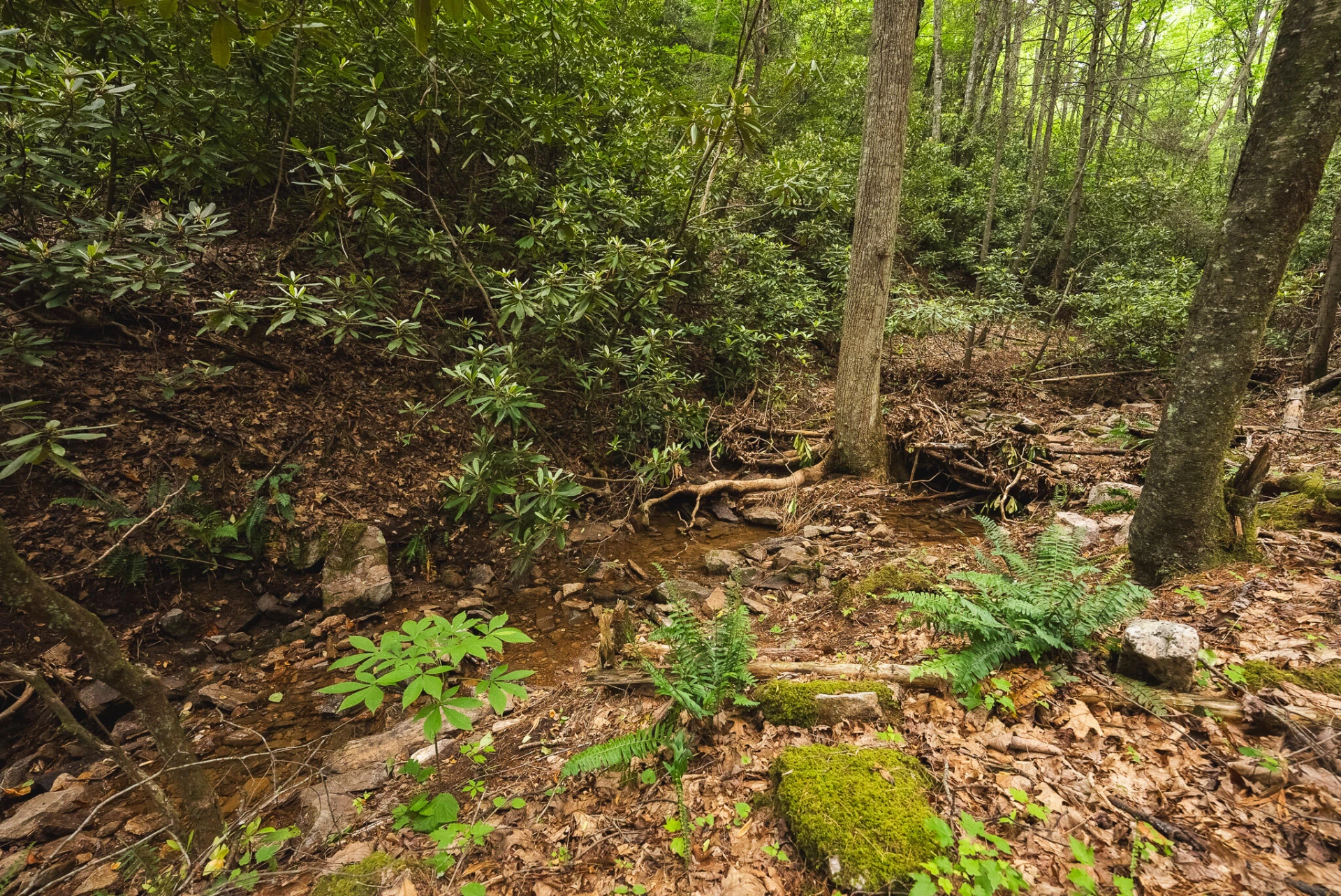 TBD Macks Mountain RD - Photo 12