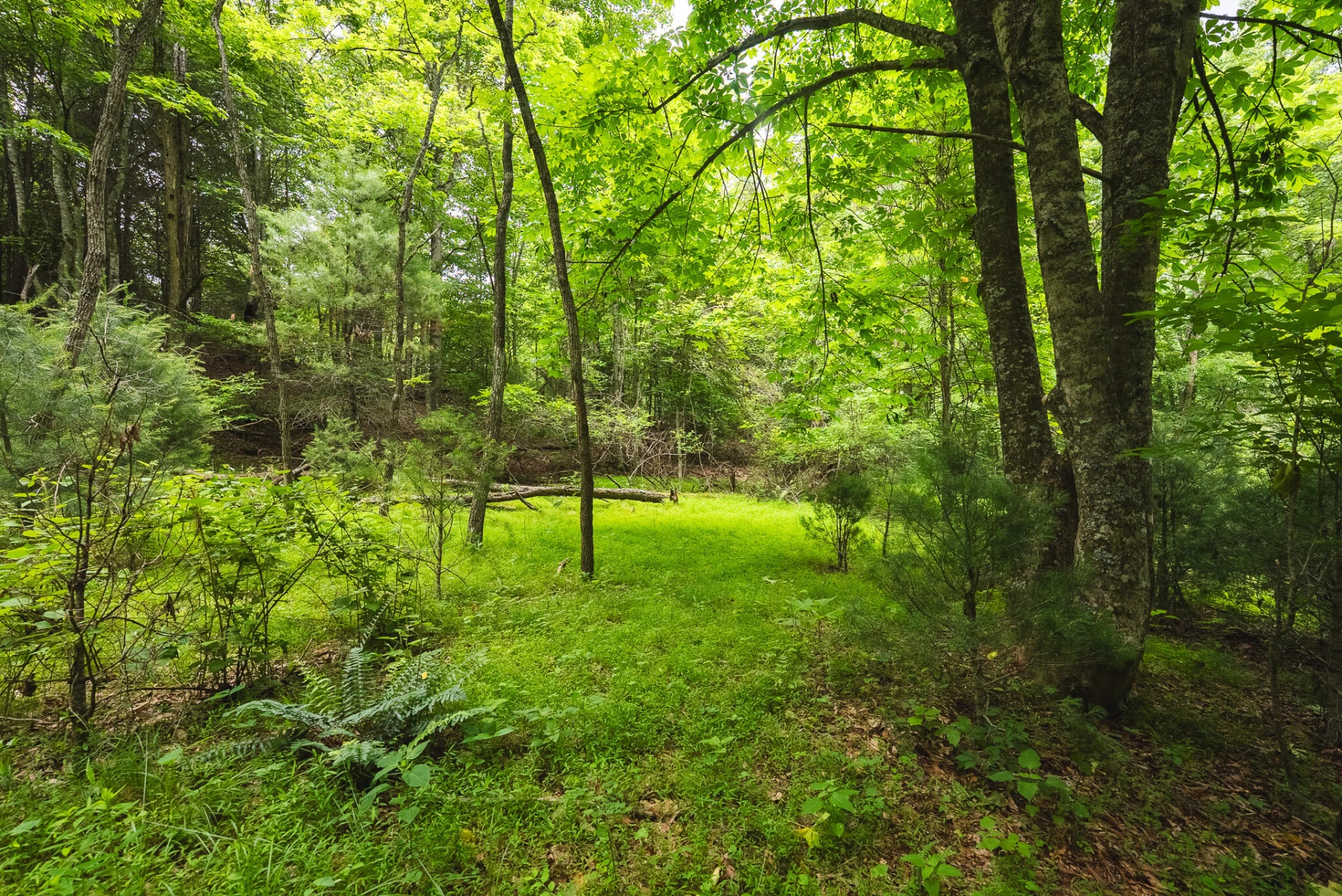 TBD Macks Mountain RD - Photo 17