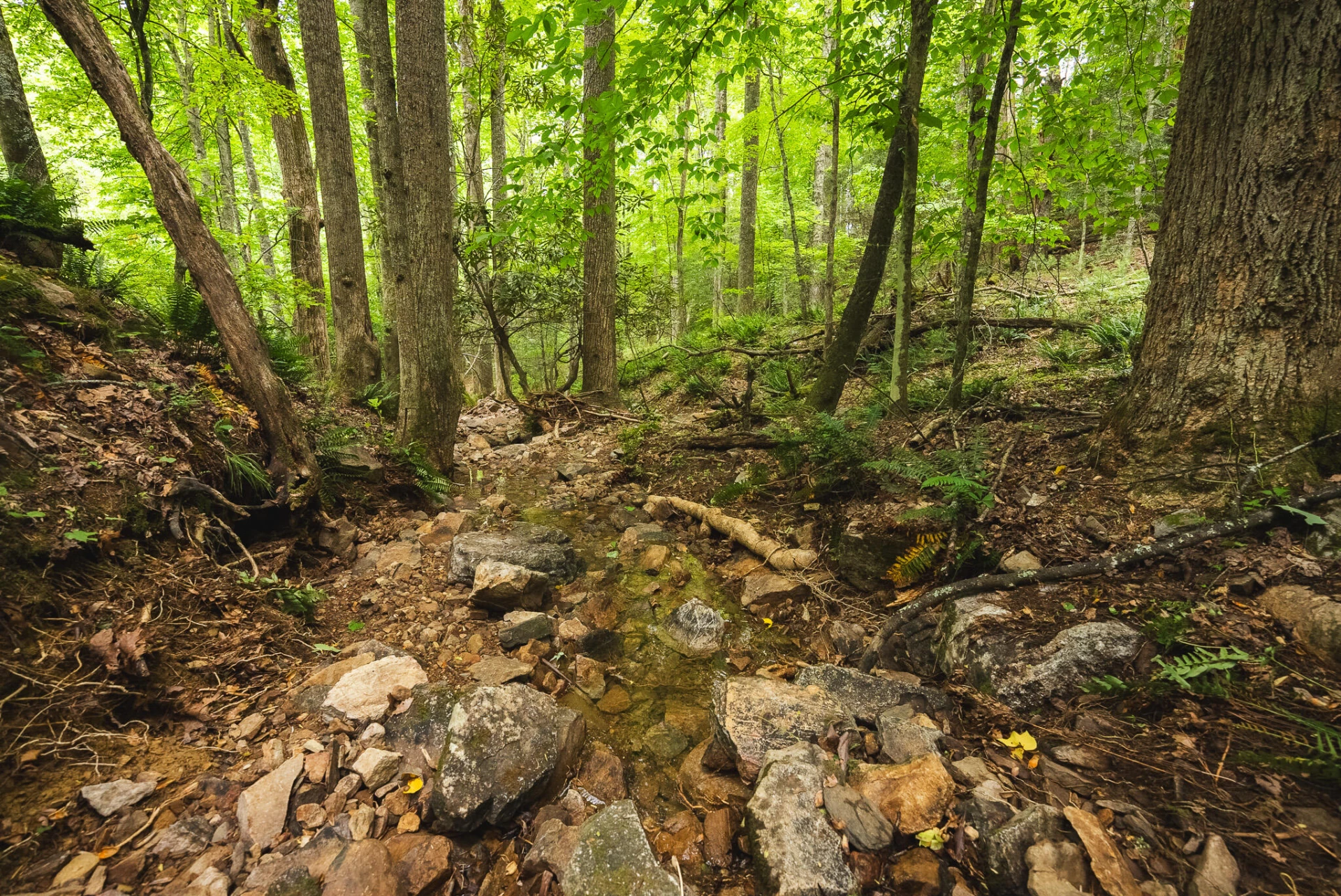 TBD Macks Mountain RD - Photo 19