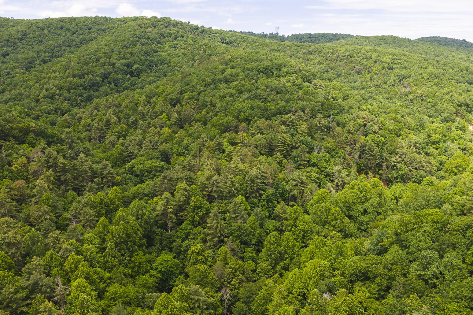 TBD Macks Mountain RD - Photo 2