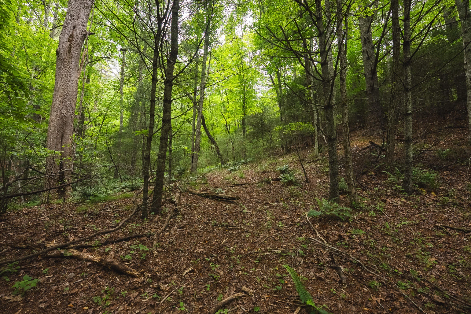 TBD Macks Mountain RD - Photo 20