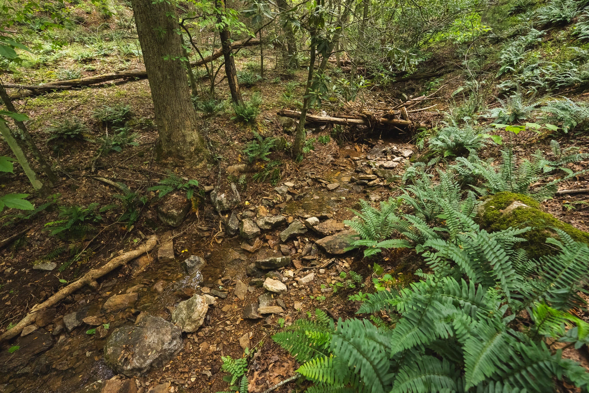 TBD Macks Mountain RD - Photo 22