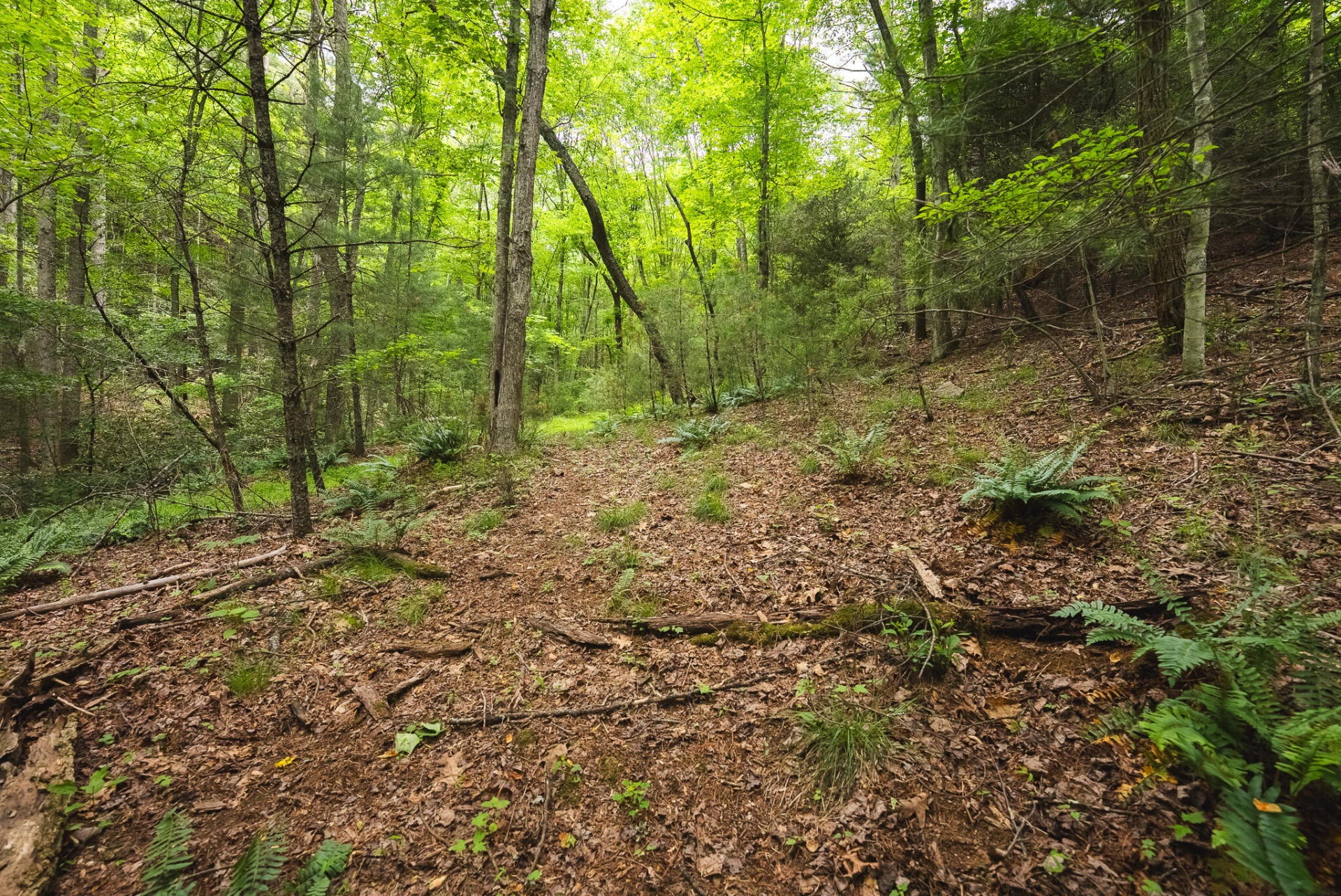 TBD Macks Mountain RD - Photo 23
