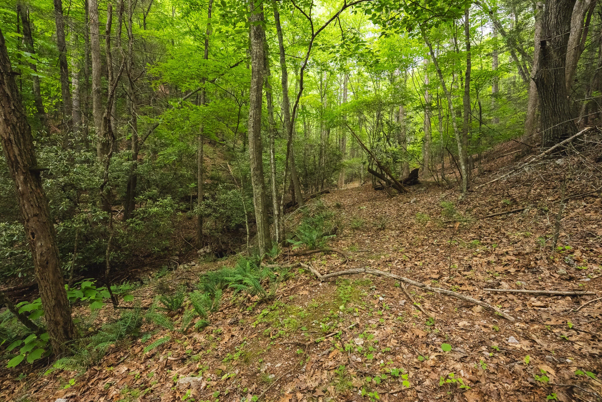 TBD Macks Mountain RD - Photo 26