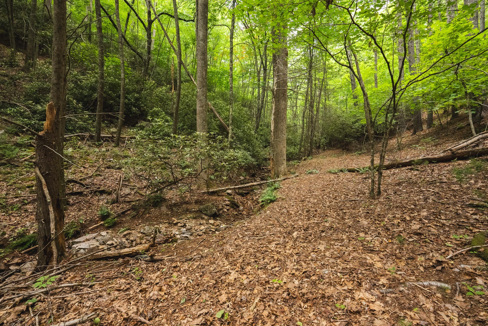TBD Macks Mountain RD - Photo 27