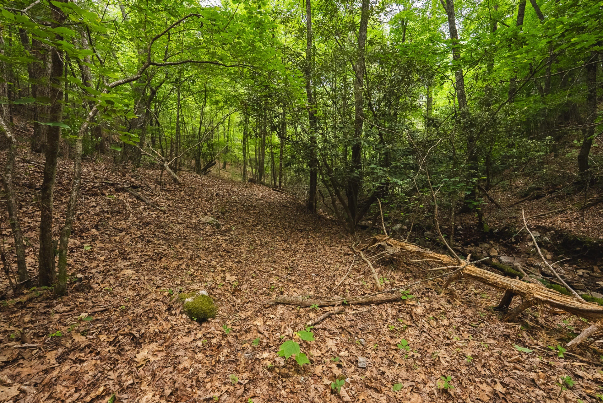 TBD Macks Mountain RD - Photo 28