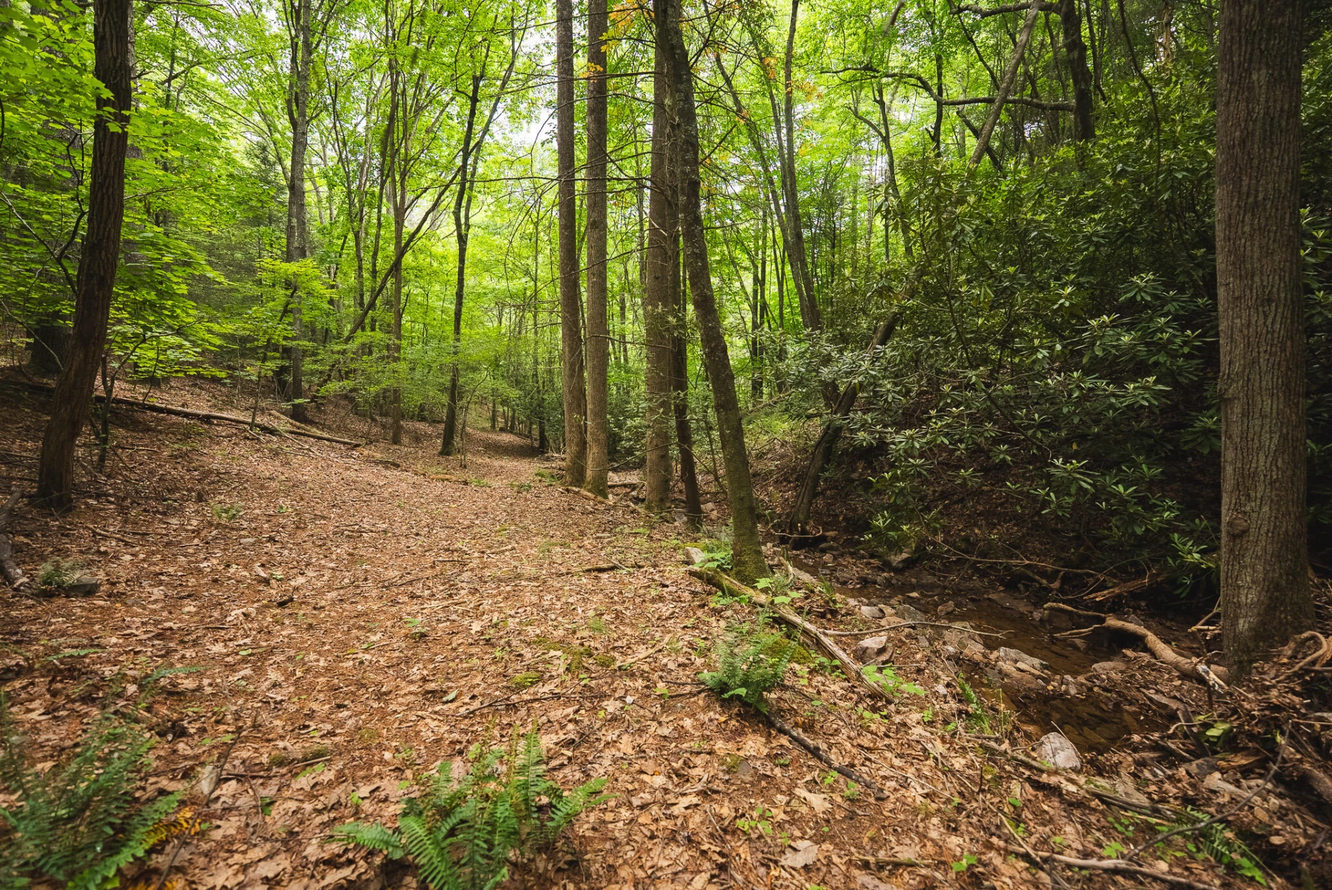 TBD Macks Mountain RD - Photo 29