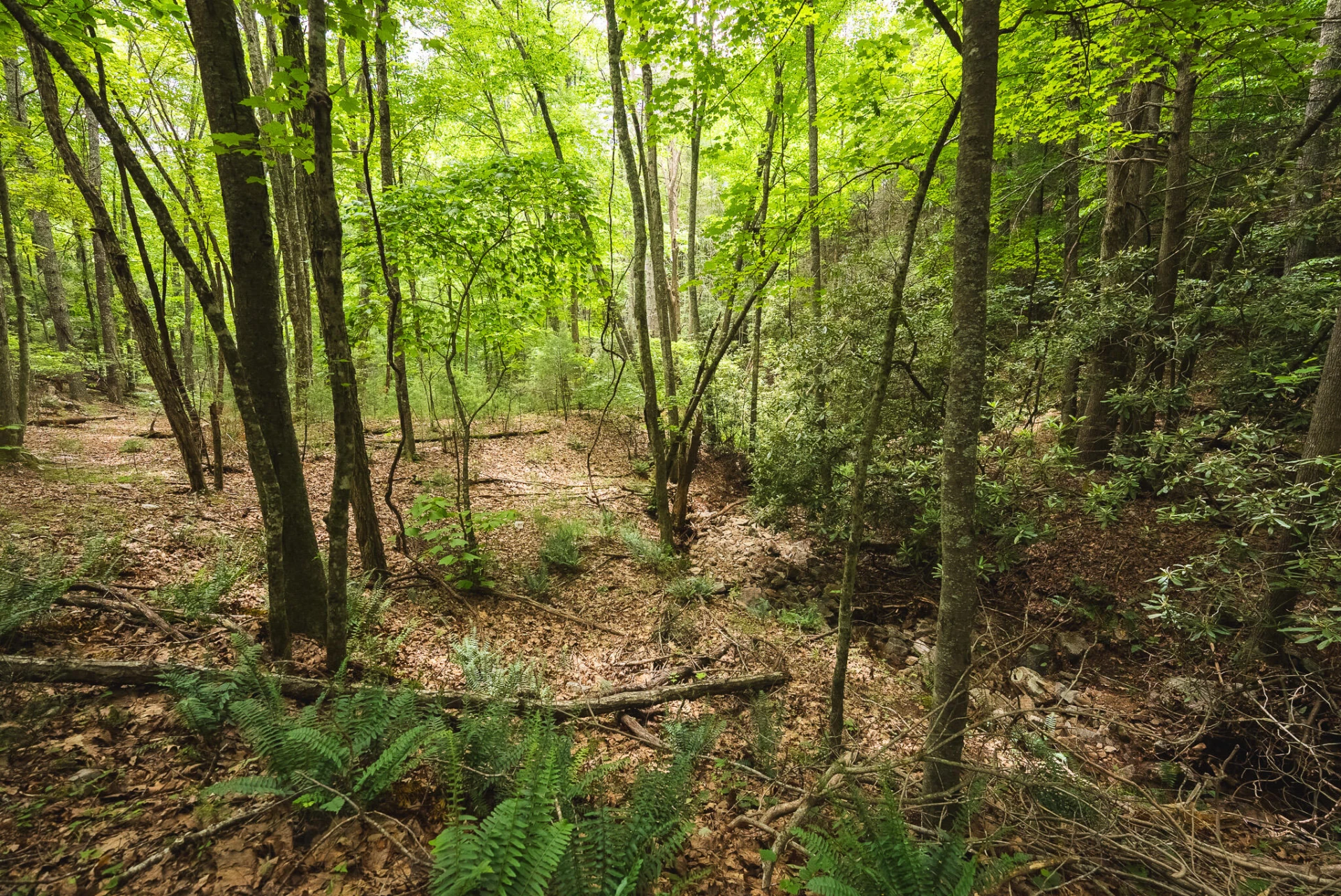 TBD Macks Mountain RD - Photo 31
