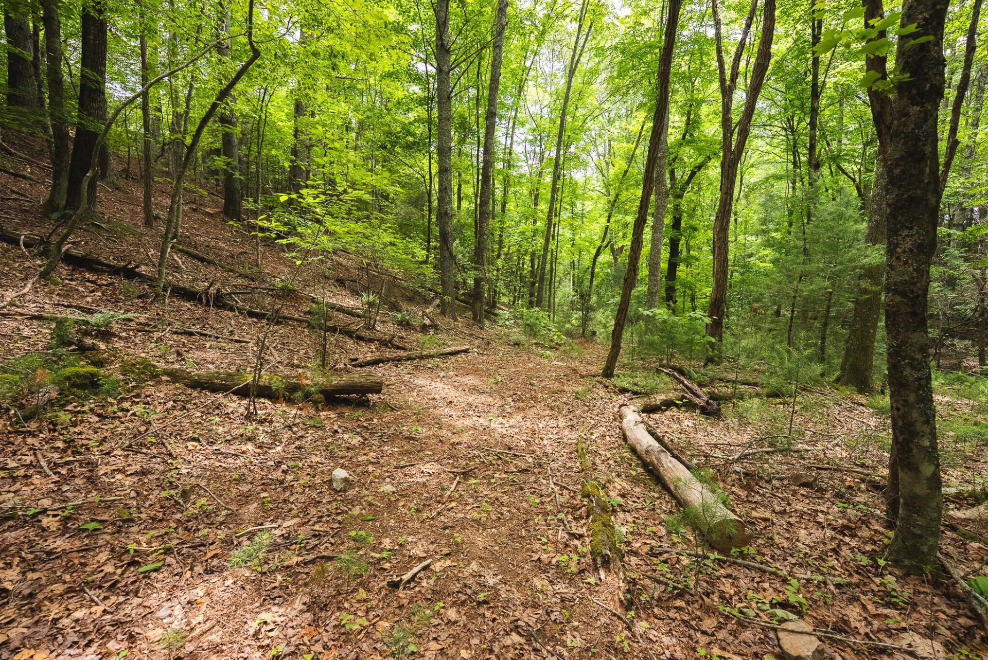 TBD Macks Mountain RD - Photo 32