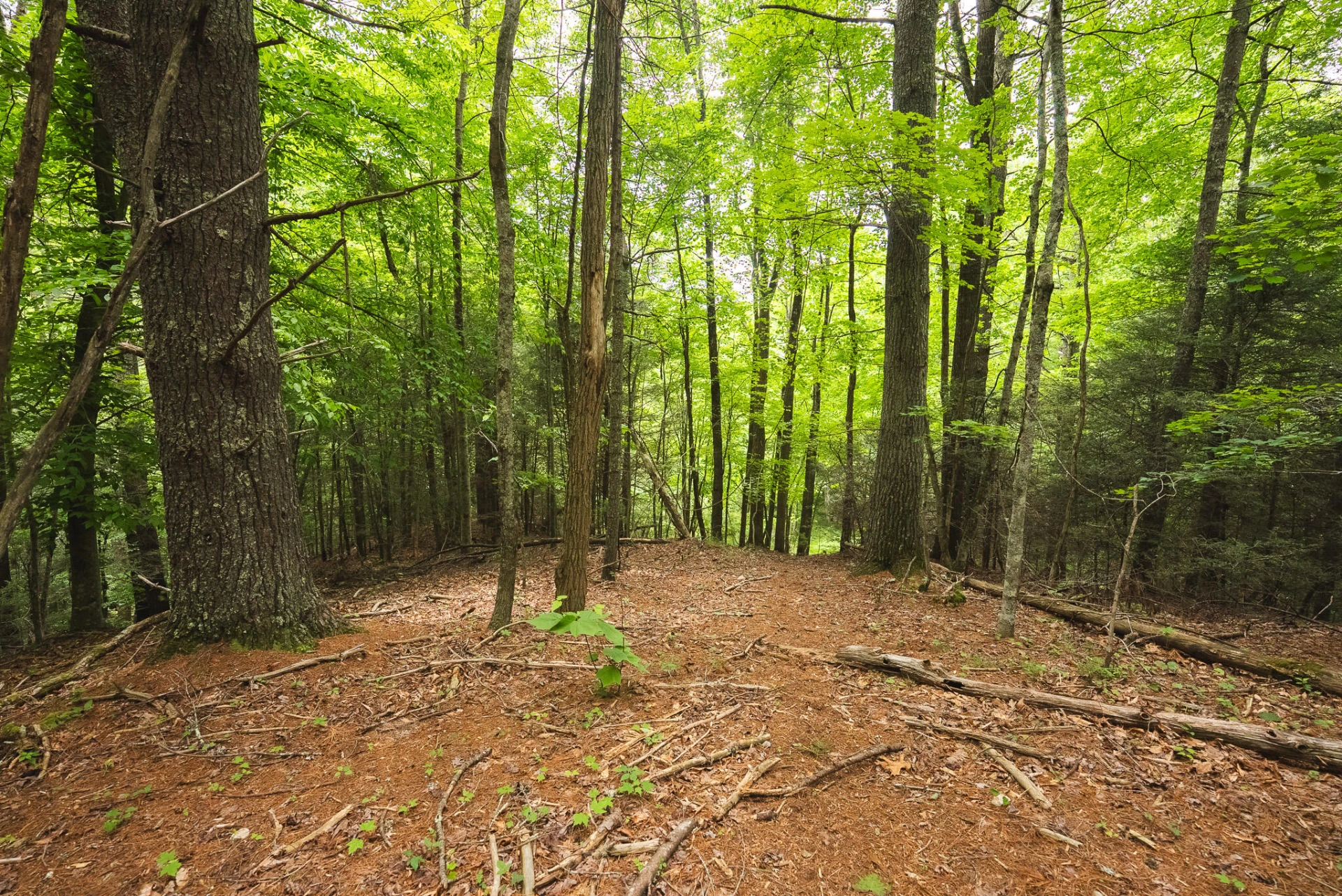 TBD Macks Mountain RD - Photo 35