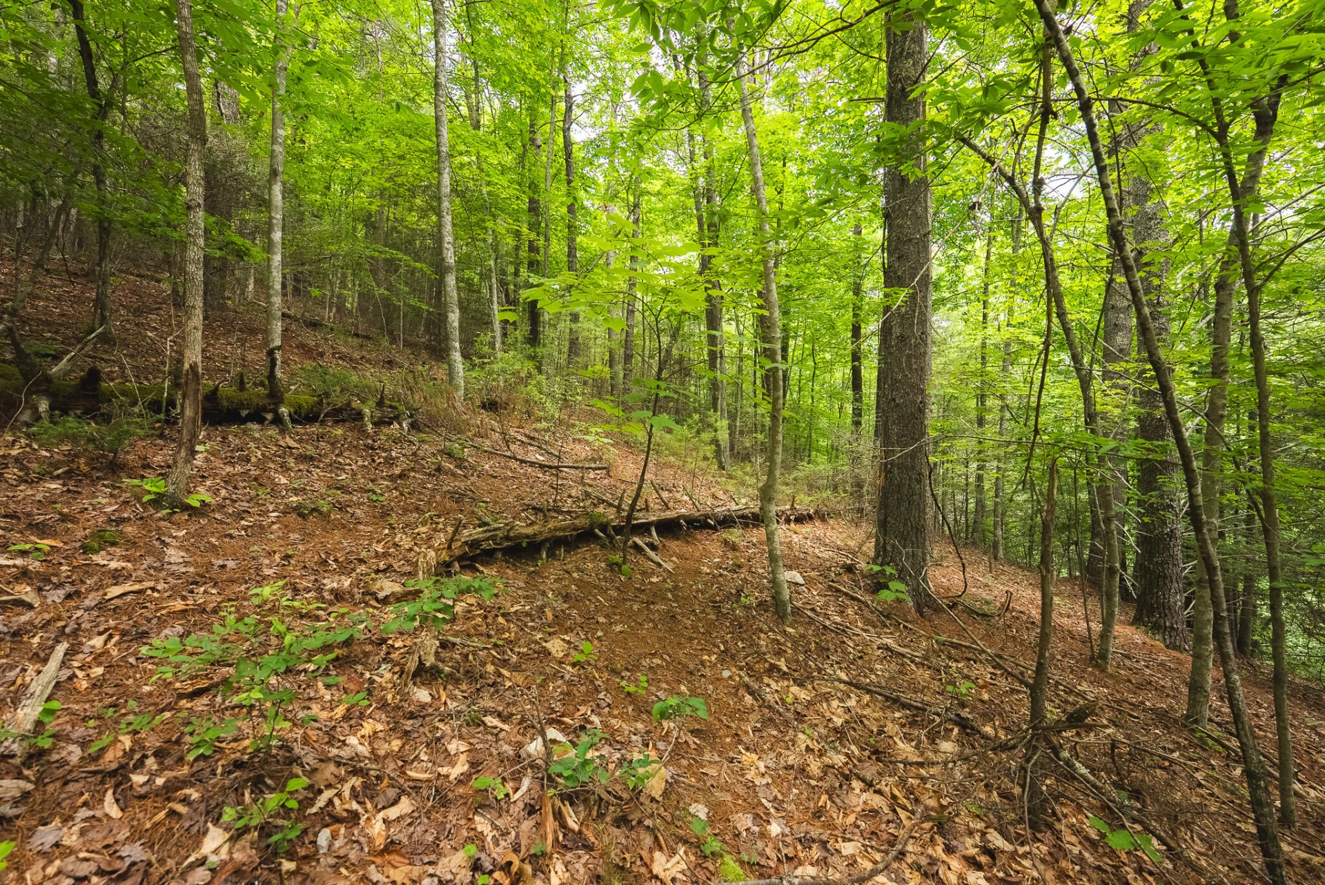 TBD Macks Mountain RD - Photo 38
