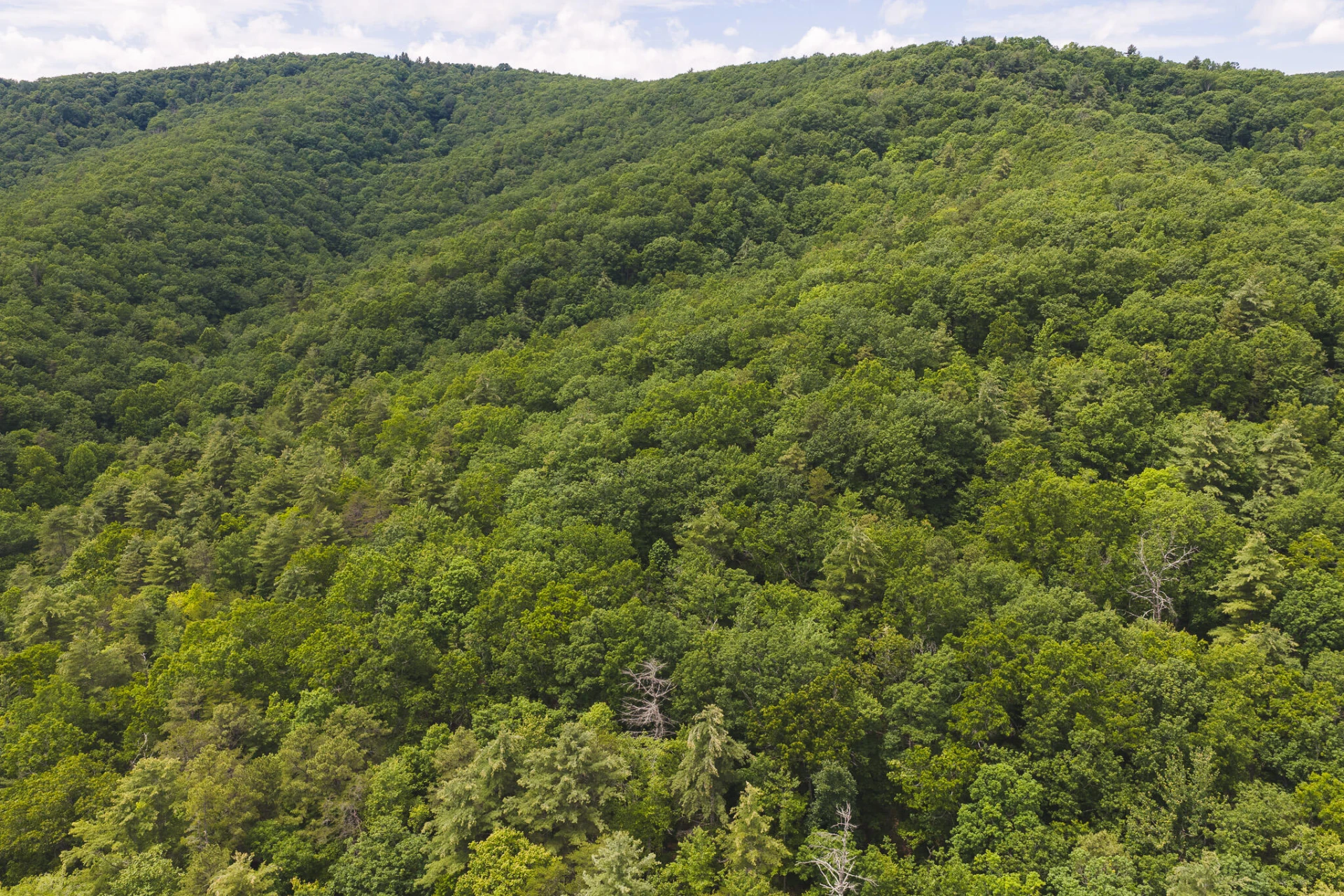 TBD Macks Mountain RD - Photo 4