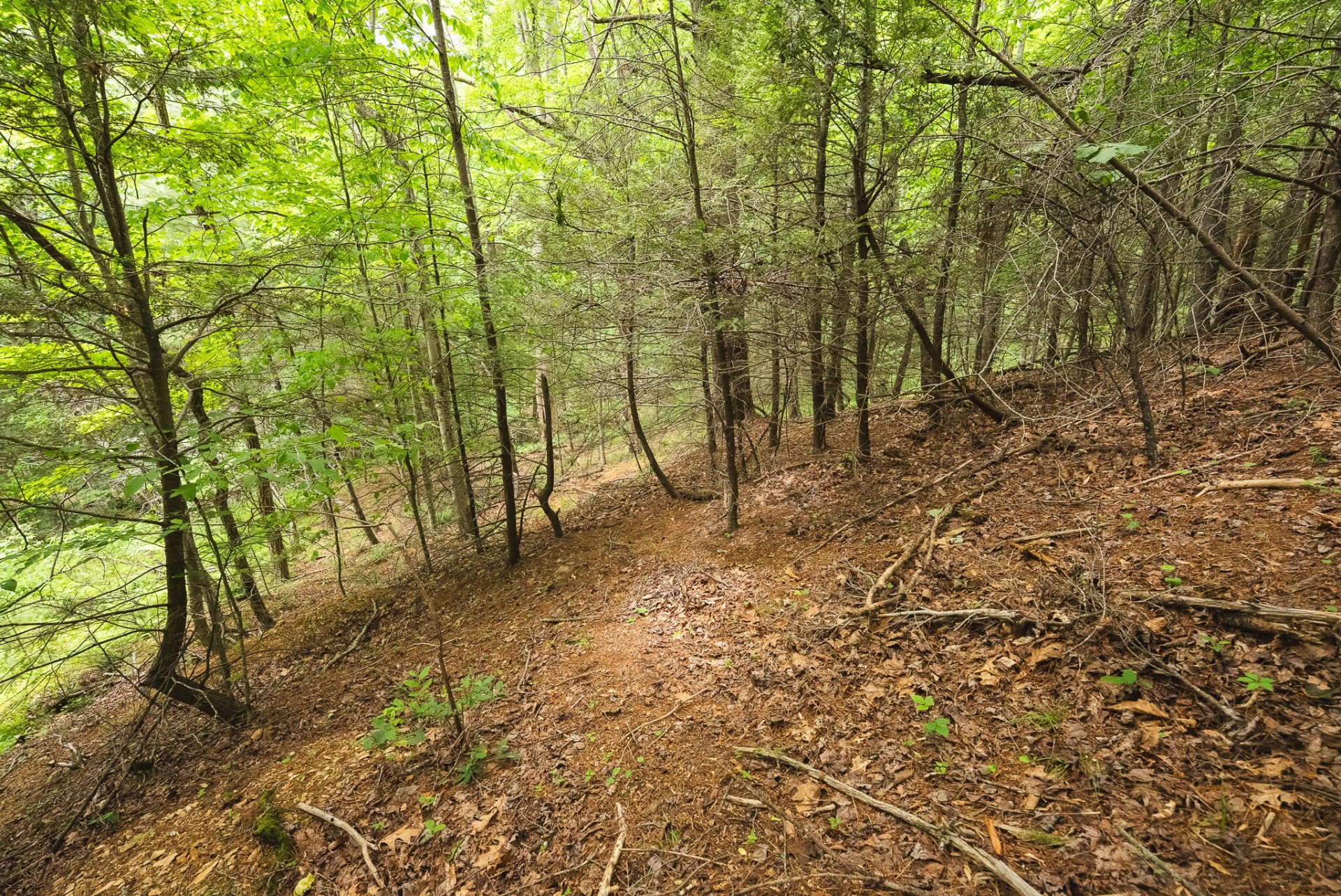 TBD Macks Mountain RD - Photo 40