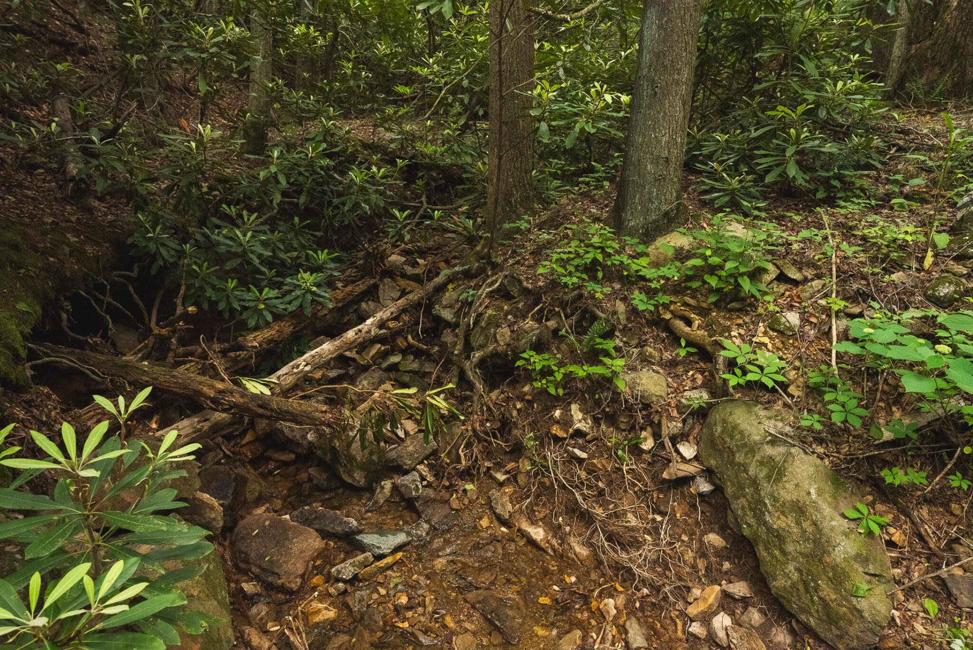 TBD Macks Mountain RD - Photo 44