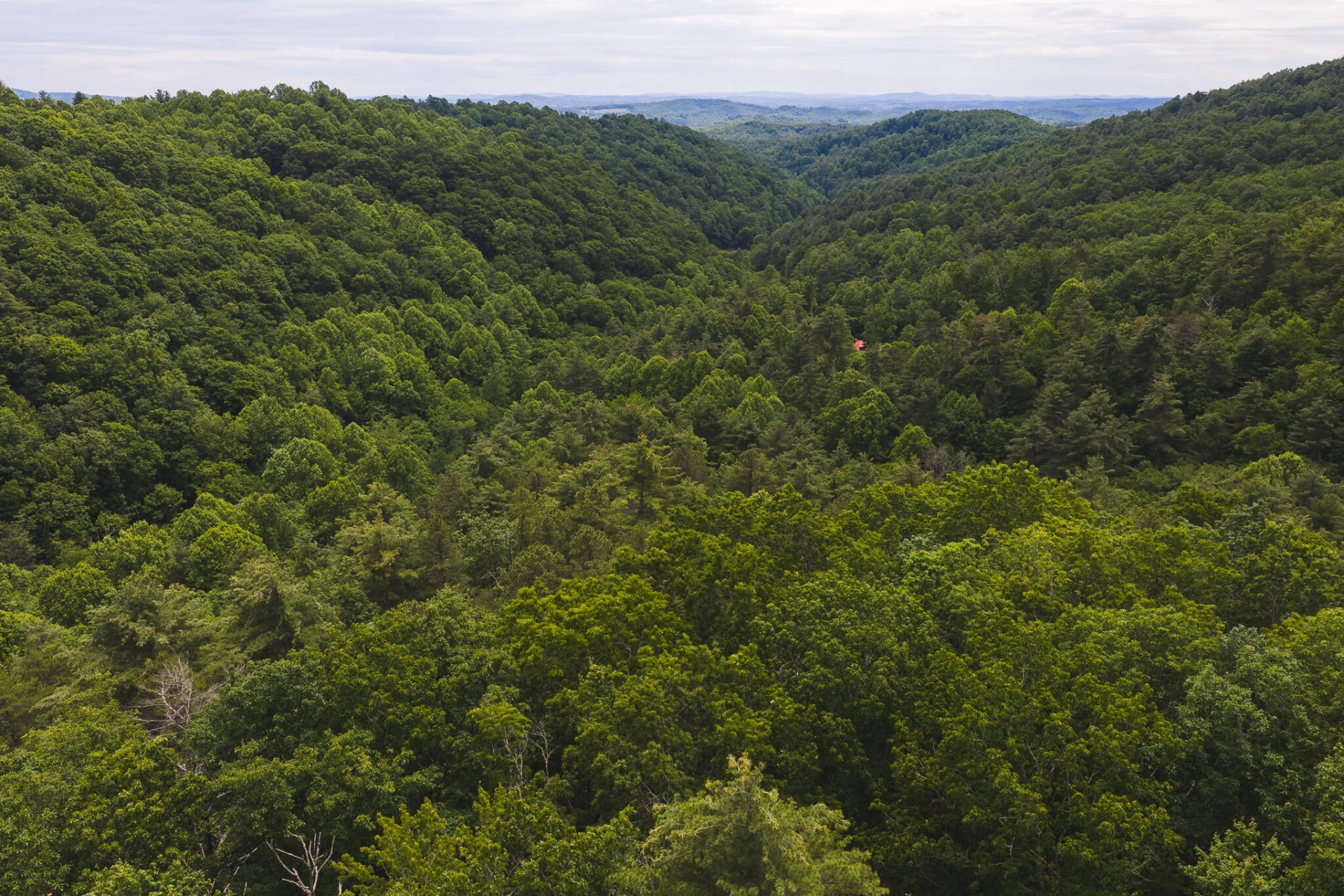 TBD Macks Mountain RD - Photo 5