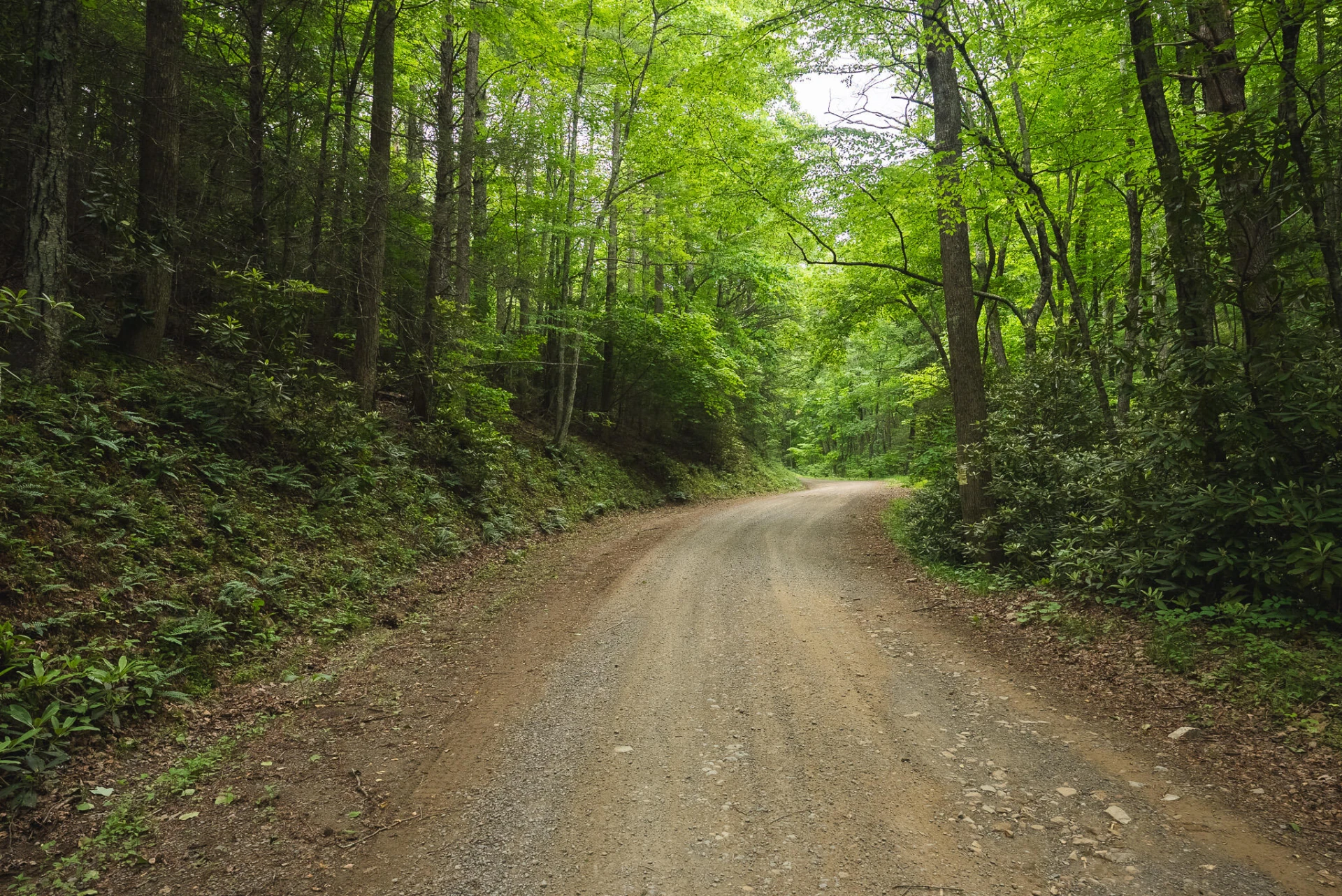 TBD Macks Mountain RD - Photo 6