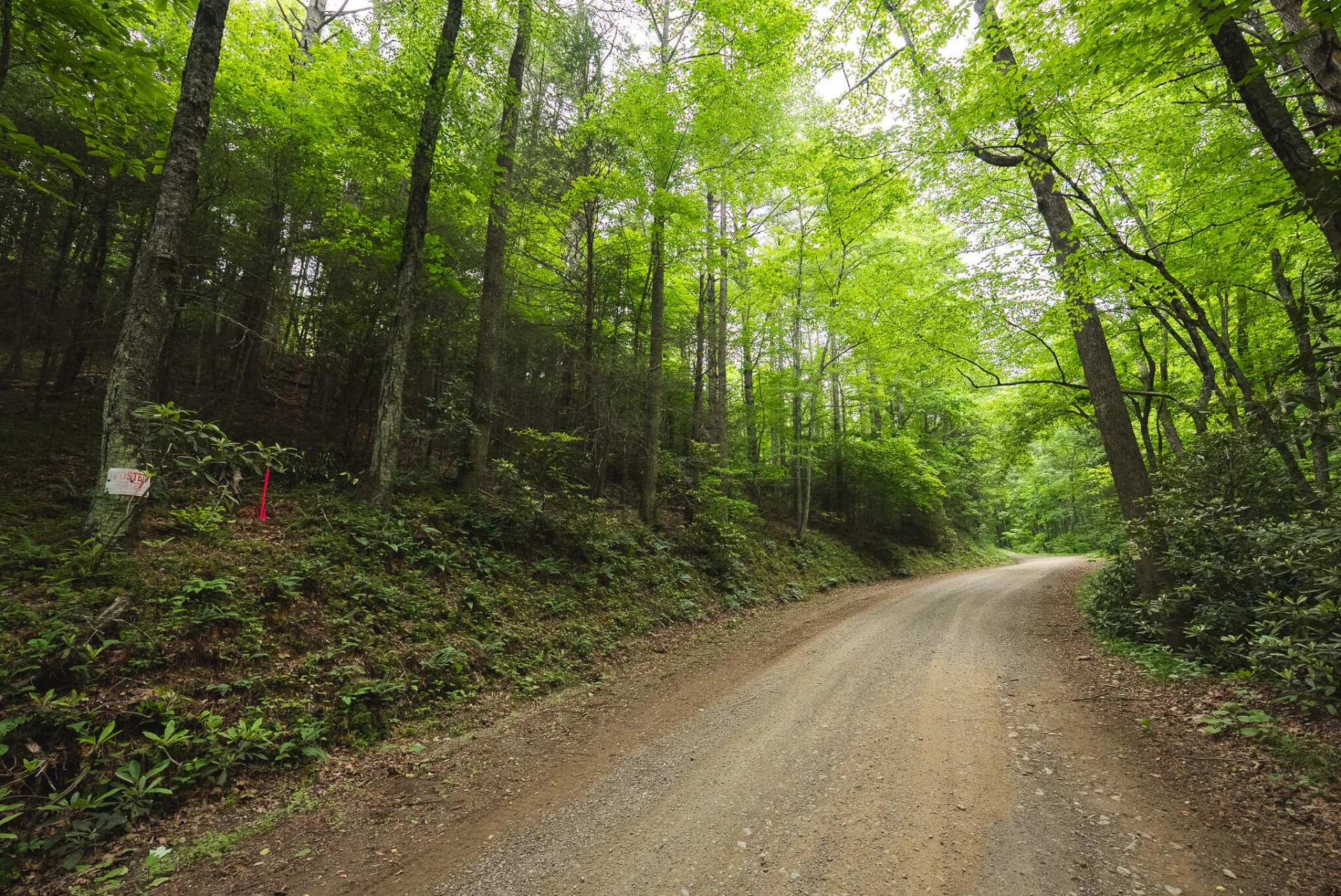 TBD Macks Mountain RD - Photo 7