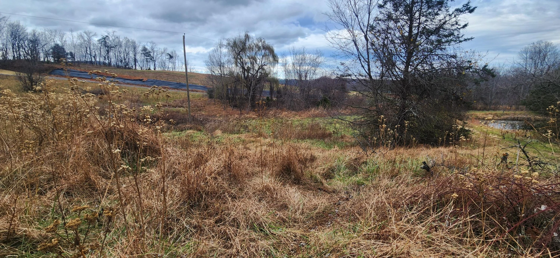 10401 Callaway RD - Photo 5