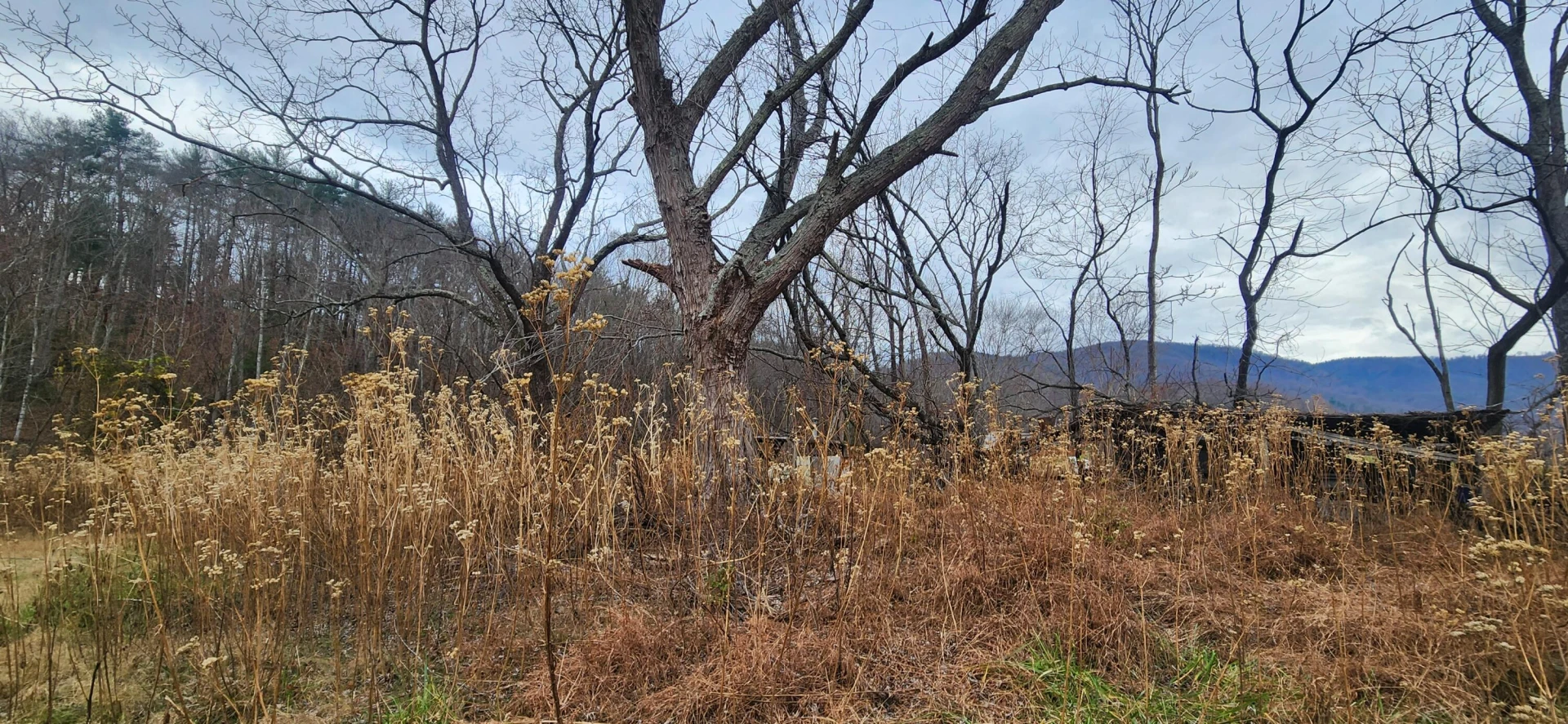 10401 Callaway RD - Photo 6