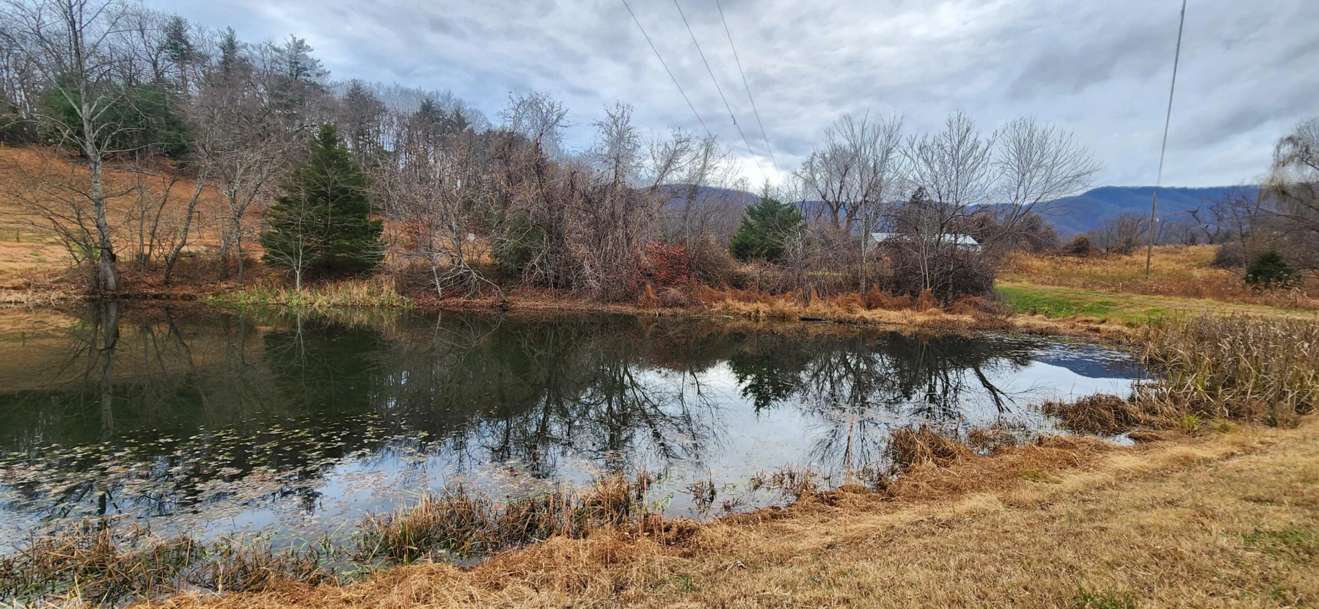 10401 Callaway RD - Photo 7