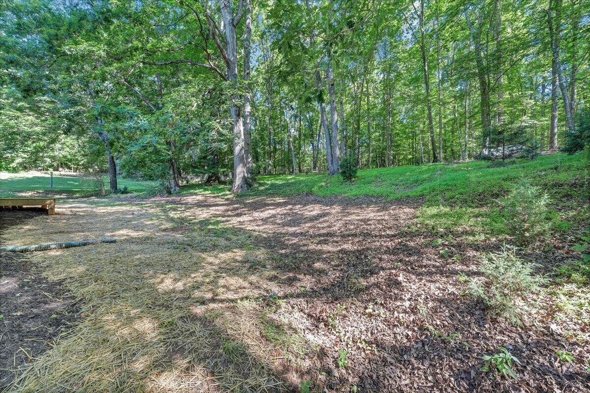 266 Chatmoss Ct EXT - Photo 41