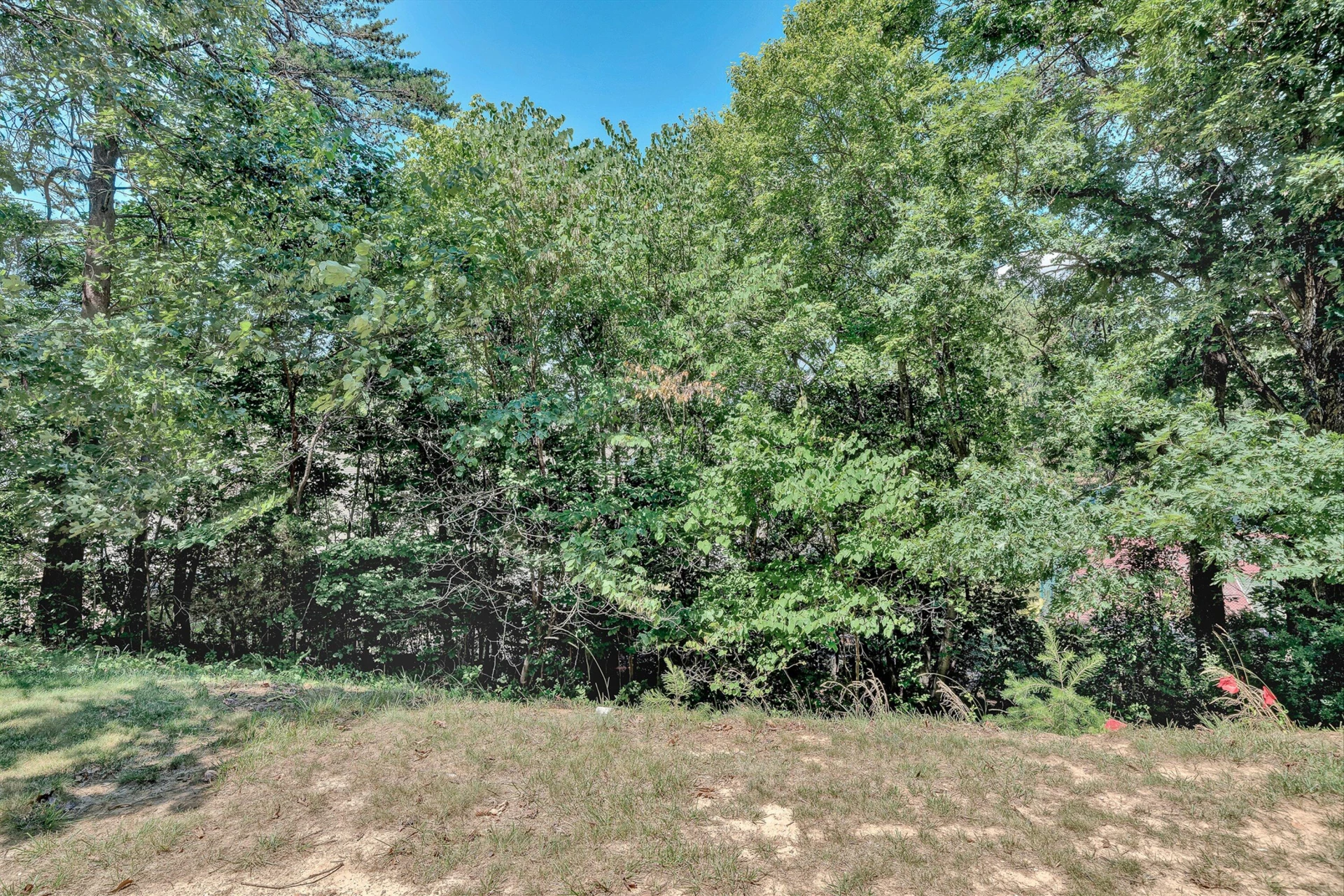 6912 Buck Crossing DR - Photo 37