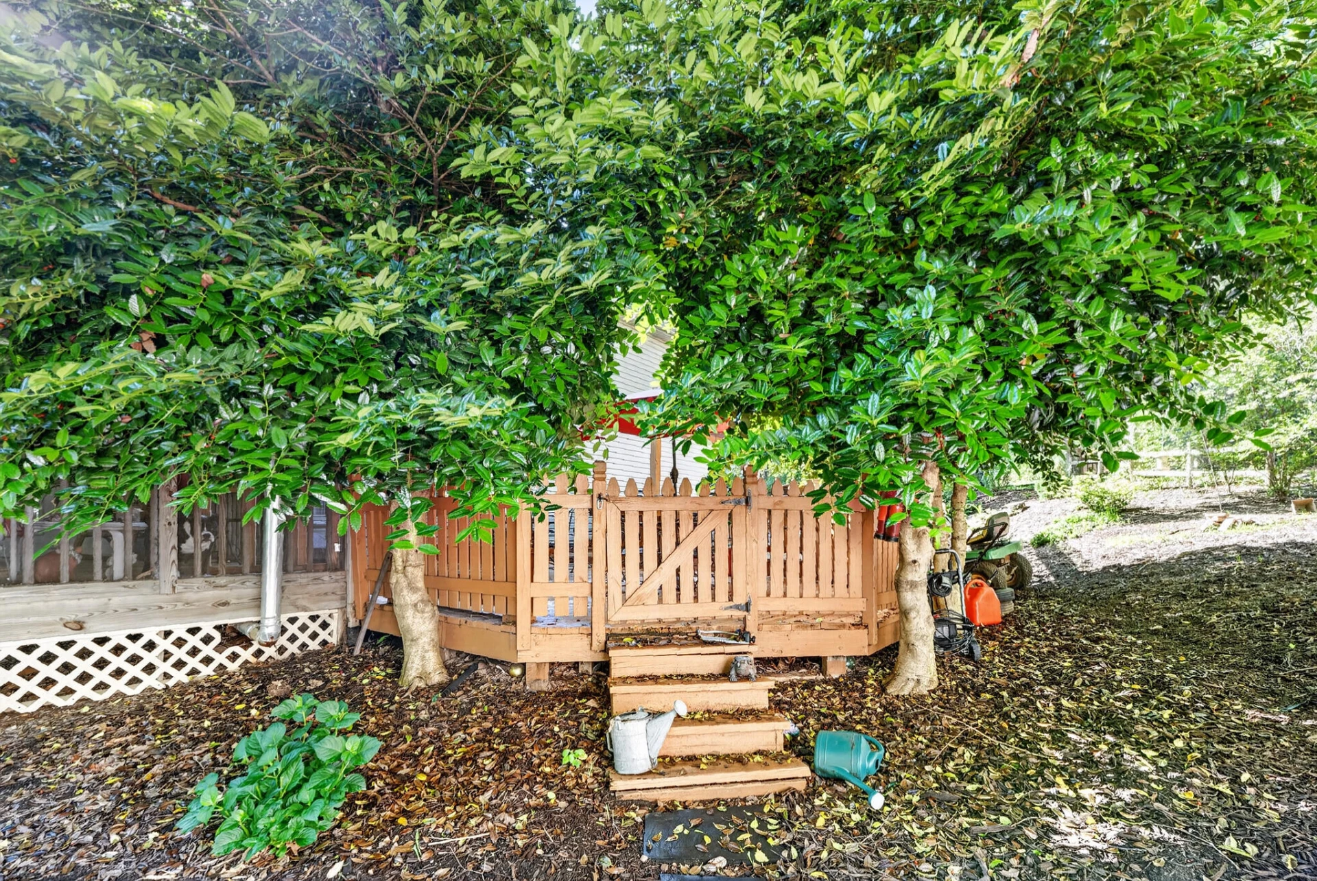 24 Queen Regent CT - Photo 53