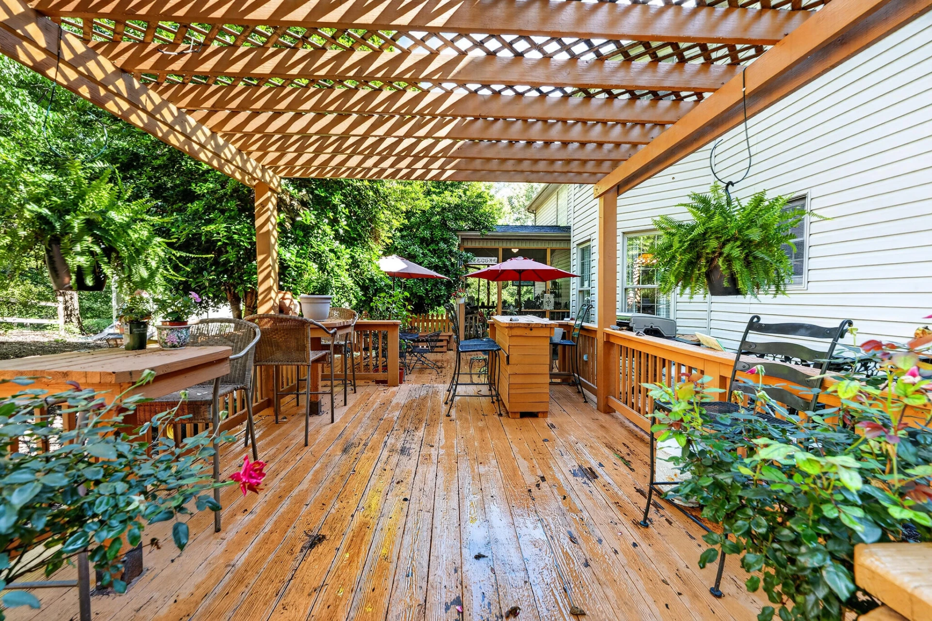 24 Queen Regent CT - Photo 56