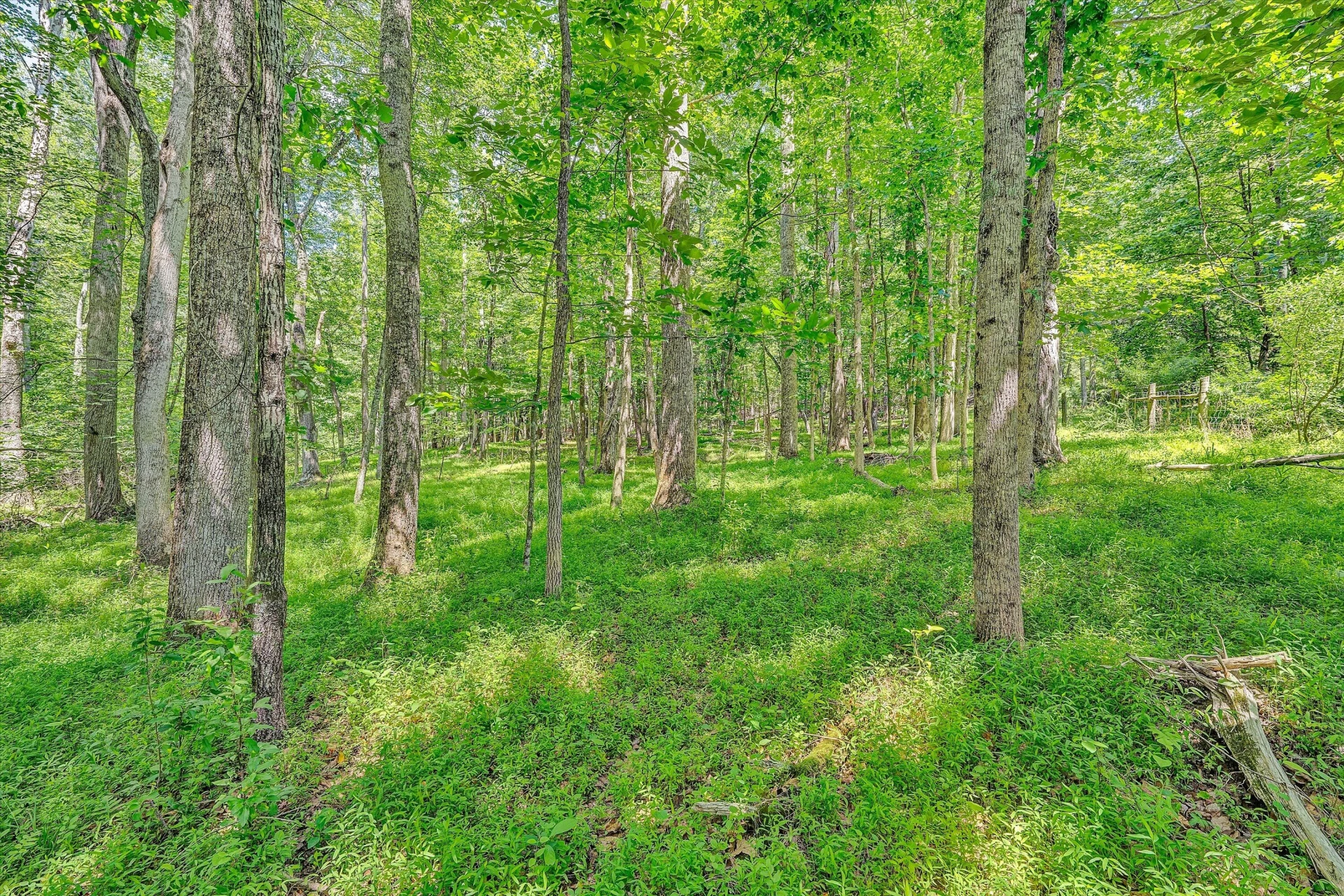 1432 Oakwood Knolls DR - Photo 48