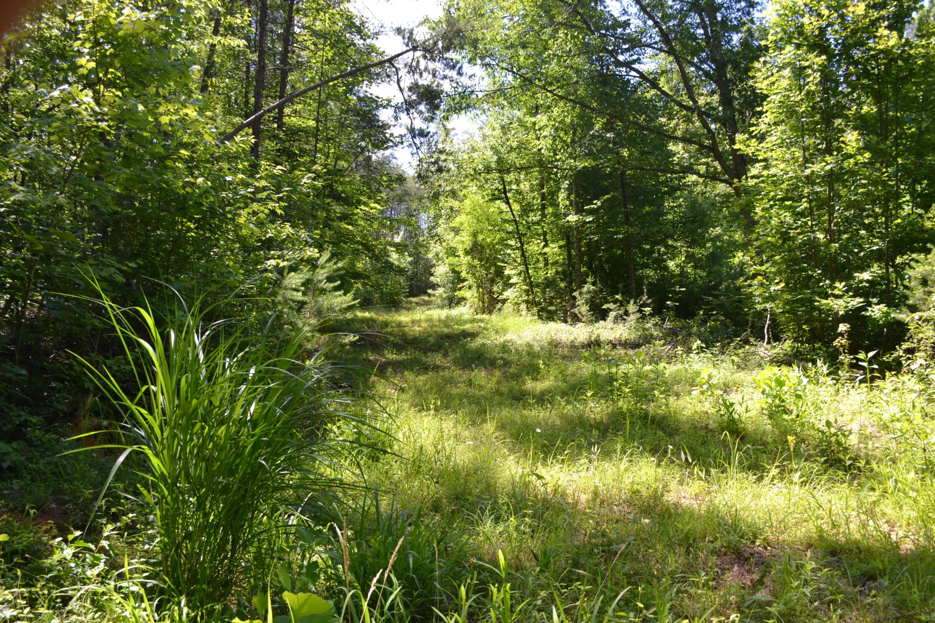 94 Bryants Lake RD - Photo 42