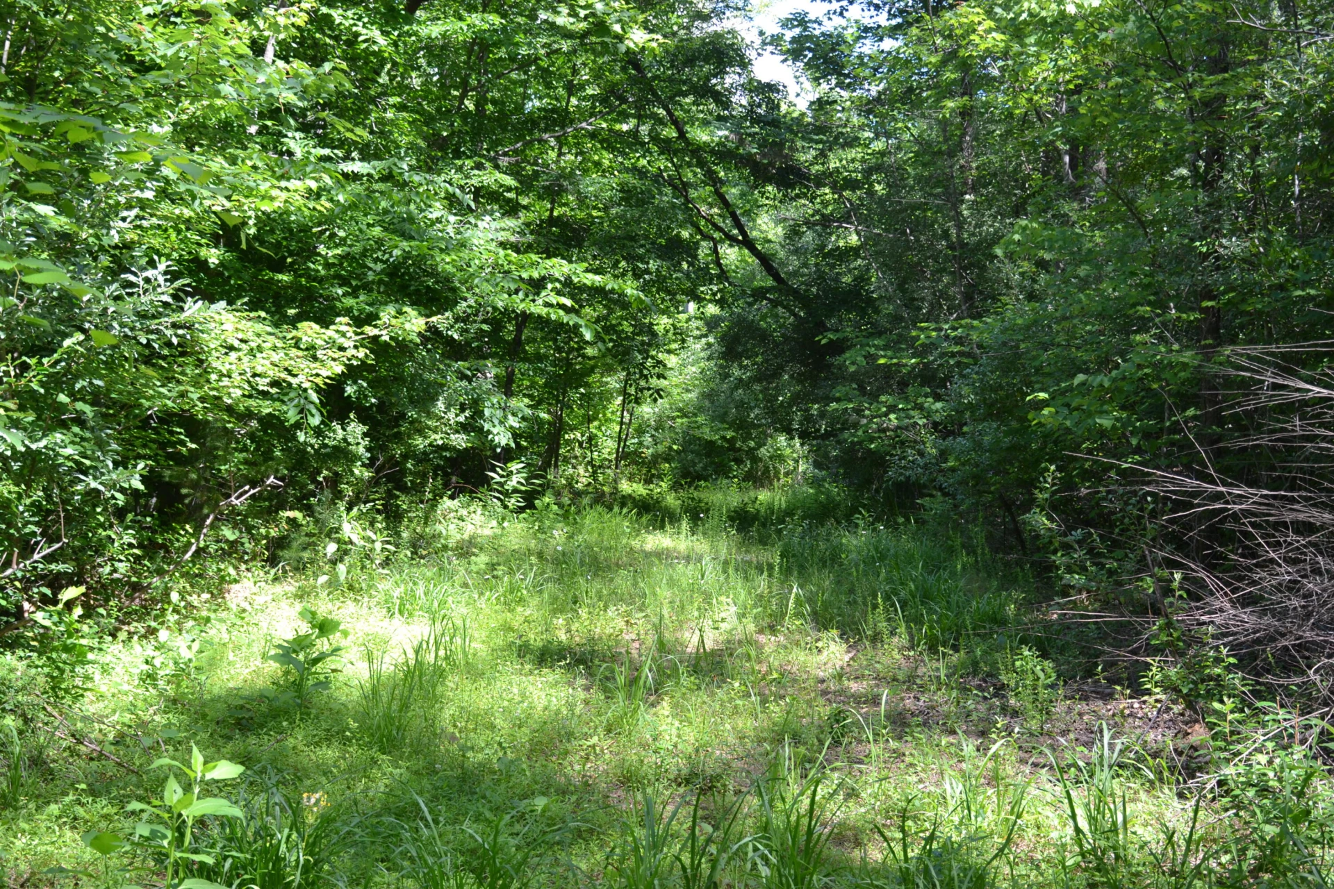 94 Bryants Lake RD - Photo 43
