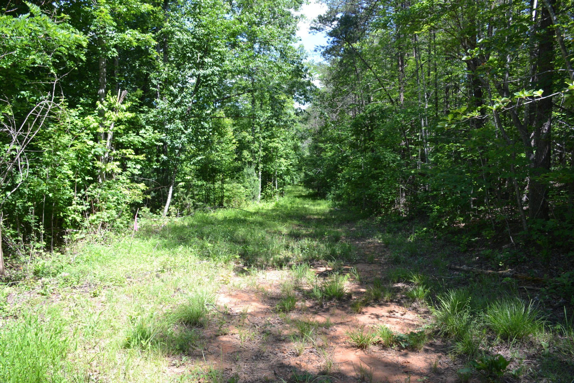 94 Bryants Lake RD - Photo 44