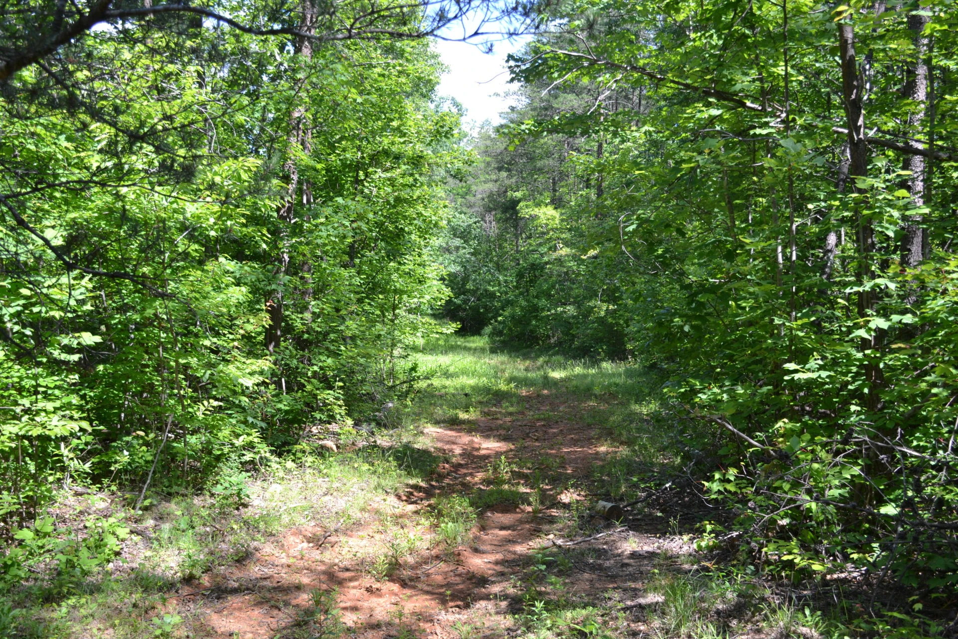 94 Bryants Lake RD - Photo 45