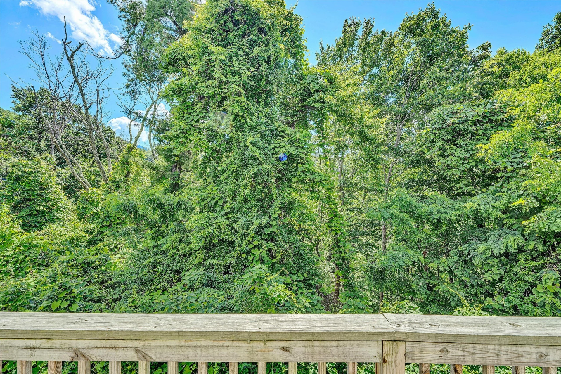 777 Hicks Hollow RD - Photo 35