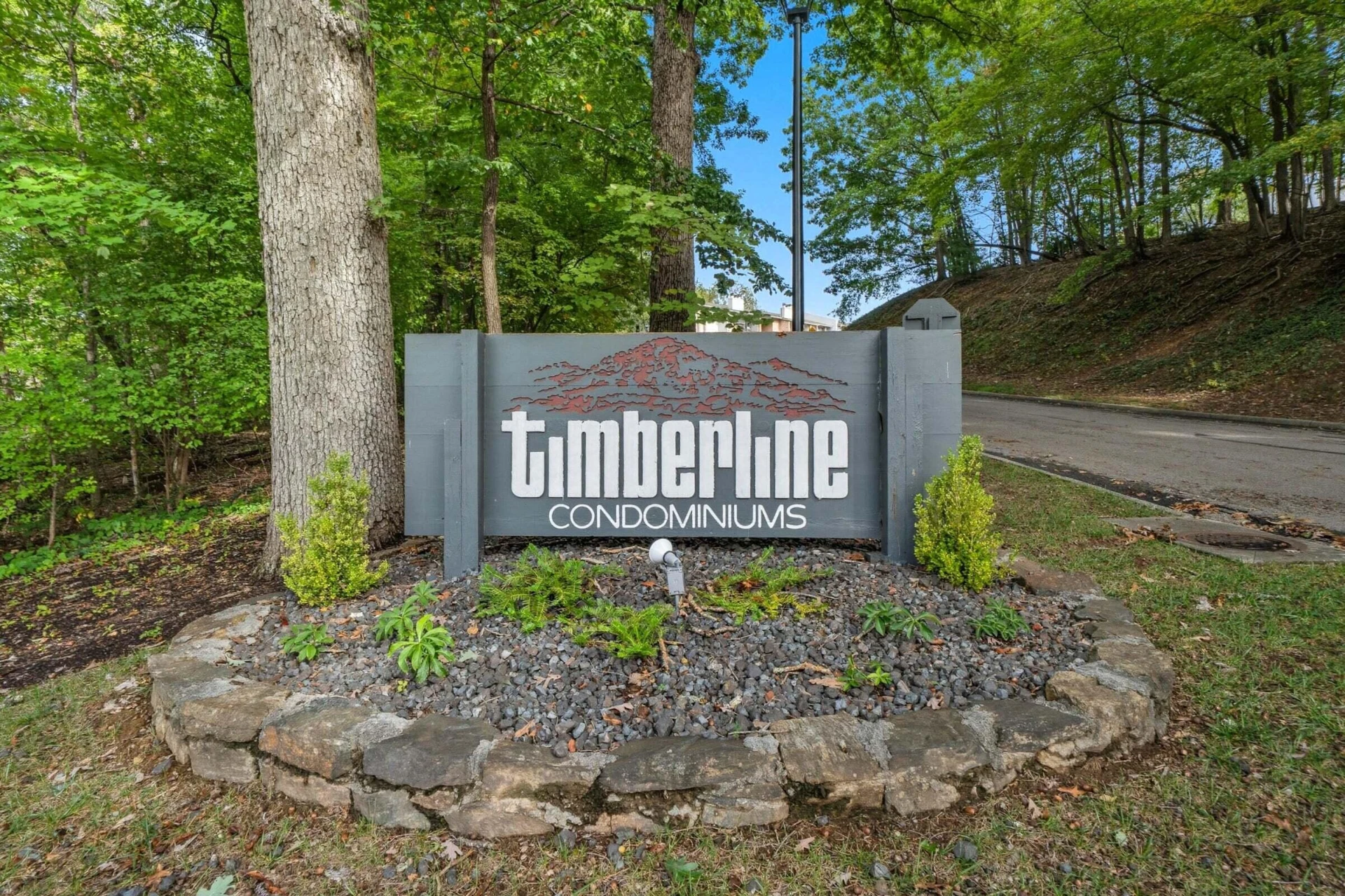 3516 Timberline TRL - Photo 15