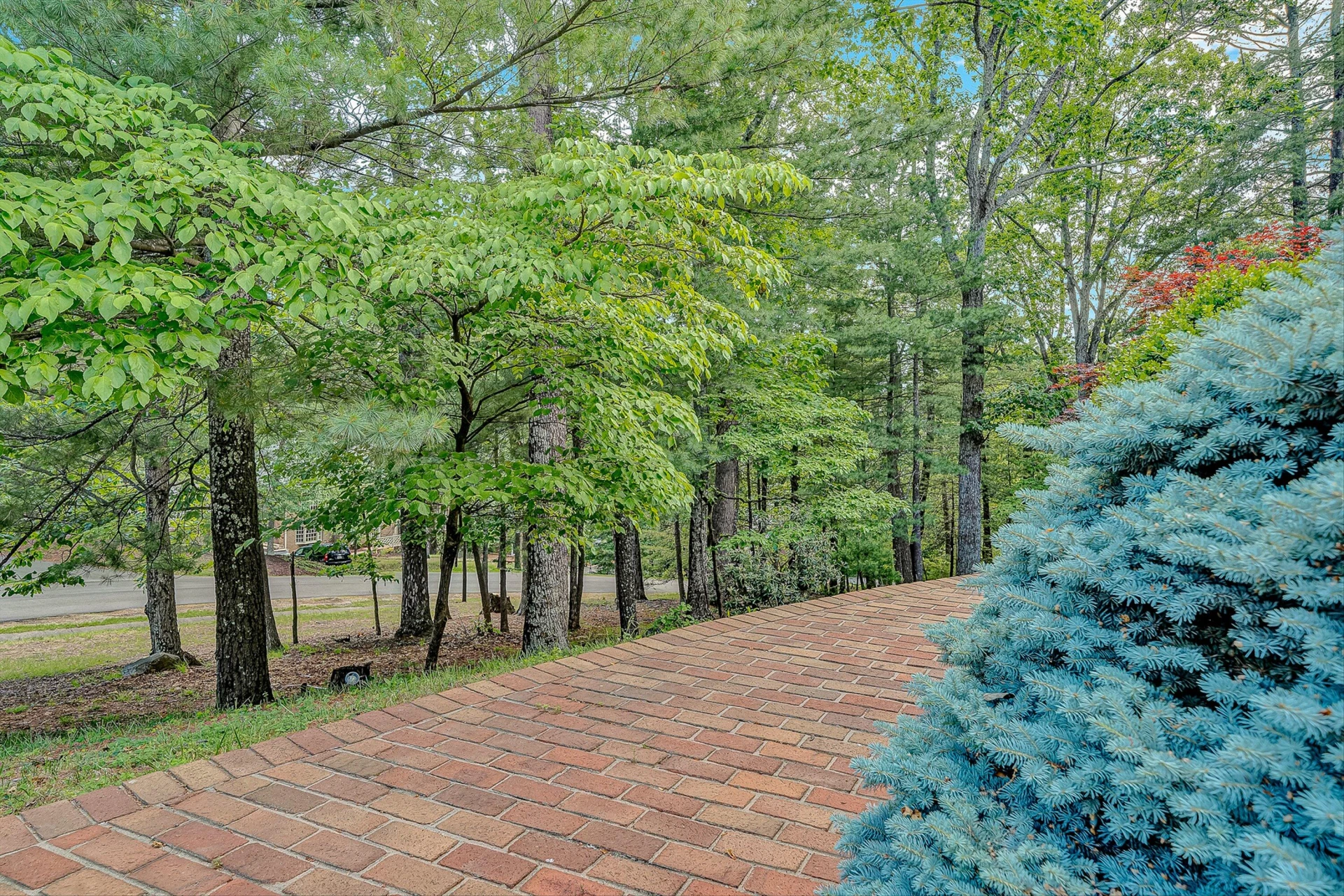 8214 Winterwood TRL - Photo 37