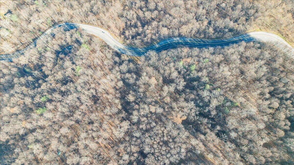 0 Bent Mountain RD - Photo 28
