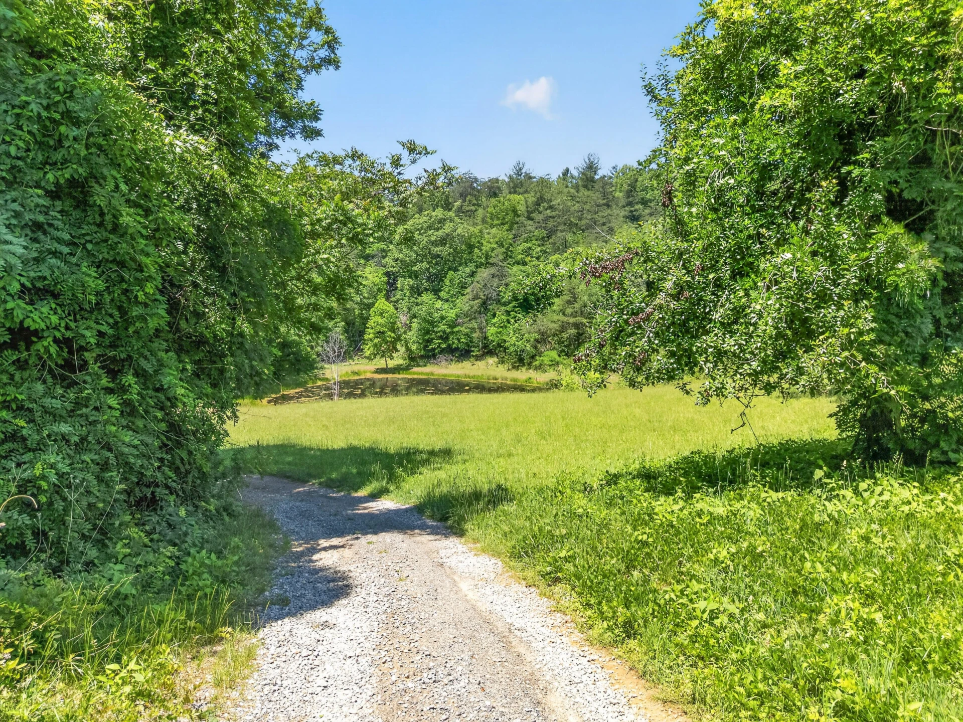 Lot 30 River Rock RD - Photo 43