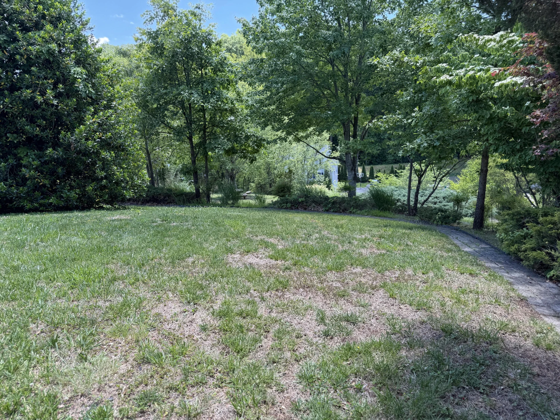 1308 Coronado DR - Photo 35