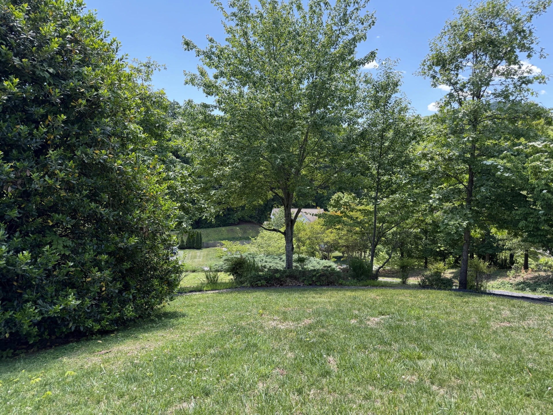 1308 Coronado DR - Photo 53