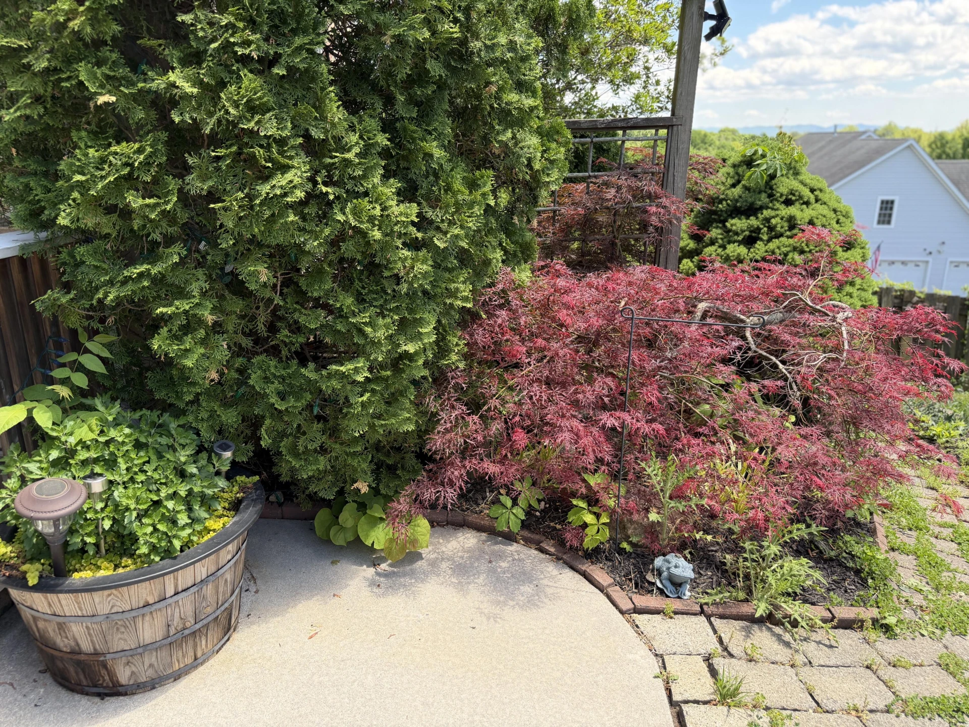 1308 Coronado DR - Photo 55