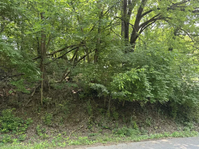0 Chestnut ST, Vinton, VA, 24179